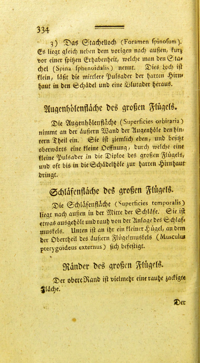 3) (^taC^cUod) (Foramen fpinofum). €ö liegt gfeid) neben bem toovtgcn nnd) au^en, furj \)or einer fpifen ^itabenbeit, weld)e mein ben (2>ta# d)el (Spina fphenoidalis) nennt. S)ieg iod) ifl ffein, mt bte mittlere ^uBaber ber garten ^irm ^aut in ben (Bct)dbd unb eine iblutober ^erauö. 5(uAcnr)bIcnjld({)c l)eö grogen SlucjeB* 25ie SlugenbSlenilacl^e (Superficies orbiraria) nimmt an ber dauern ^onb ber Tluc^en^öle ben ^in^ fern 5:^eil ein. ©te ifi jiemlic^ eben, unb beuft oberwdrtö eine fleine ^Jefnung, burd) werd)e eine «eine ^uBaber cn bie 3)iploc beS großen Slüqelö, unb oft biö in bie@d)dbel§6Ie aur garten ^irn^out bringt. ;Die @d)ldfenjldc^e (^Superficies temporalis) liegt nac^ aufien in ber mttt ber edjldfe. ©ie ill <tn)a6 auöge^ölt unb rau^ t>on ber Tlnloiie beö ed;Iaf* muöfel6. Unten i\t an i^r ein fleiner ^ ügei, an bem . fcer Obert^eil beö du^ern Slugcfnniöfelö ( Musculus pterygoideus externus) fic^ befeftigt. SRdnber bc^ trogen 5V(ü(;r(i $Der obctcüvanb ij! toielme^r eincrau^e iacftgf«