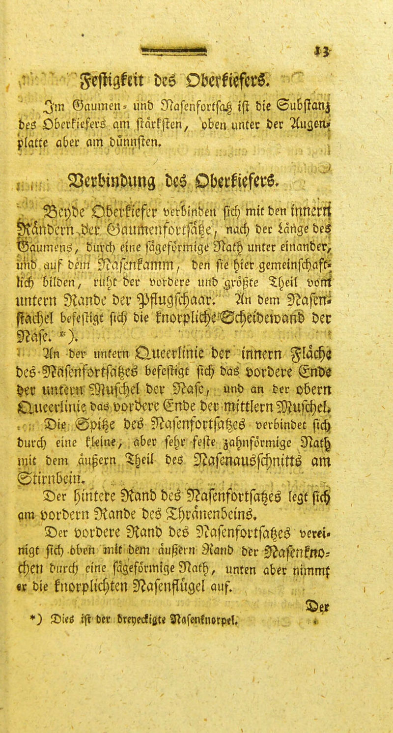 , ©aumen- uhb SRafenfüctfo^ jfi &{c ©uBpanj bf^ OStTfiefa-^. am jidvfjlen, 'oben unter Öec llii^miii platte a^er am bunnjicn. [ ^;dribtrn.t^t @aumeitfoitf(^|e^^^ &ec ^«nge be^ 0aumenä, tu^-rf; eine fdgefprmtge SRatl^ unter einanber;^ tm auf belli ffta^^ tten fie^ter gcmeinfc^af^ h(^> 6ilben',' riif^t t)er t>orbere unb'^vopte '^f^eit otrÜ untern dUnhc Der ^flugfc^aarr bem S^aferr- (!ac^el befe|Tigf ftd)- bie tno\:pli^t'0d}U'otmn% t)ec 3 2{n ber unfern ^ucerltnic t)cr mncm t)e^-§i?(ifcnf6rt|a|c^ befcjligt fic^ bas jjorDere (£nt)a ^er unfcnr 5Diufi^el Der i)^afe, unb an ber o6errt ^ueevlinie baö üortkrc (gnbe t)er mittlem !Ü?uf^ef* -. @pi^e beÖ ?^a)enfortfA|e^ »er&inbet ftct^ burd} eine fkinf,/aber fe§r fejle jo^nformtge 3Raf^ niU bem aupern J^^eil be6 gjajfcnau^fc^mtt^ am Stirnbein, , ' .T ',, ', ^' -' ©er Wintere Ütant) t)c^ 5?afenfortfa|eö lest ji'c^ am t>ort)ern Ütanbe t)c^ X^rdnenbein^. Der öorDere ^anb t>e^ 9tafenfortfa^ej^ m«. nigt ficf) bbeit intf .b?m du^h-n dianb ber il^^afcnfROs d)cn biircf; eine fdgeformtge 2Ratf), unten aber nimmt «p bte fnorp(id;ten SRafenflügel auf.