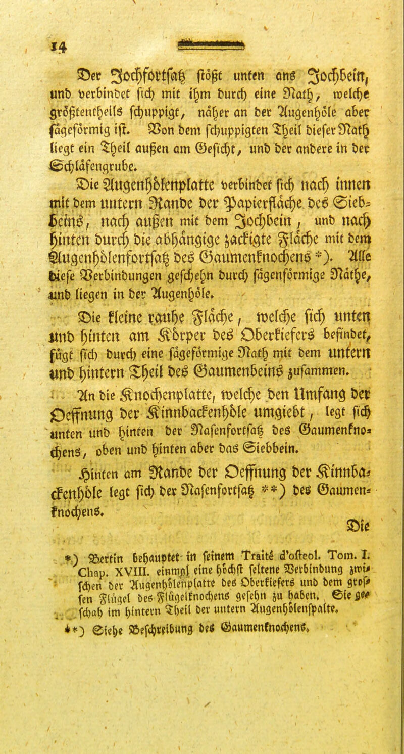 14 unt) tjerbinbet fi^ mit jf^m tmd) eine SRatfp, raelc^e gr5^tent^d(ö fct)uppi3f, nd^er an bet Tlugen^ole ober fagefovmtg tfl. QSon bcm fctjuppigten Jf^eil bieferSRöt^ itegc ein '^^eil öupen om ©efi^t, unt) öer nnberc in Dec <^c^?ldfengrube. S)ie Slugen^bJcrtpIatte ^erSinbcf ftc^ nac^ innert mit bem untern dianiit Der ^apierjlde^e, t)c6 0ie5= $cinß, nac^ außen mit bem 3iorf)bcin , unb nac^ ^tntcn t)urc^ Die abf)dn9i9e jacfigte ^Idc^e mit ben^ ^U9cn^6Ienfortfa^ De^ ©aumenfno$en^ *). Me täefe QSerbinbungen scfcf;e^n burc^ fdgcnfprmige fSlät^e, 4jflb üßgen in ber JCugen^ofe» 3)ie fleine r.au^e Sldc^e, tt)el(^e fic^ untet^ iiiD hinten am ^brper De^ Oberfiefcr^ beftnbct^ fugt ftd) burc^ dne fdgeformige $)^at^ mit bem unterrt ^intern ^^eit De^ ©aumenbein^ jufammen, J V 7(n bic ^noc^enplatte, tDel^e Den Umfang Der iDeffnung Der ^innbacfen^Me umhiebt, legt ftc^ tinfen unb ^inten ber SRofenfortfal bes ©aumenfno» c^enS/ oben unb ^infen ober bnö ©iebbein. ^hinten öm !)tanDe Der Deffnung Der^rnnba^ (fen^ble legt j^d/Der DMeMf4 **) De^ ©aumen* fnocbenö, *) 95^rftn 6e5aupt<t'in f^inettt Tfait^ d'ofteol. Tom. I. Chau. XVIII. eimf!.{ eine f)6d)fl feltctie S8ei-5inbung jmw ^' fd)cn t)«v :Hu9cn^'olctip(attc M Obetfieferö unb bcm gtDfj» fen ^[{\qd beö §lu()clfnocl)enö gcfe&ti ju babcti. ©(e 'i-. .fd)a^ im ^ititevu 5()etl bev untern ^(ugent/olEnfpalte.