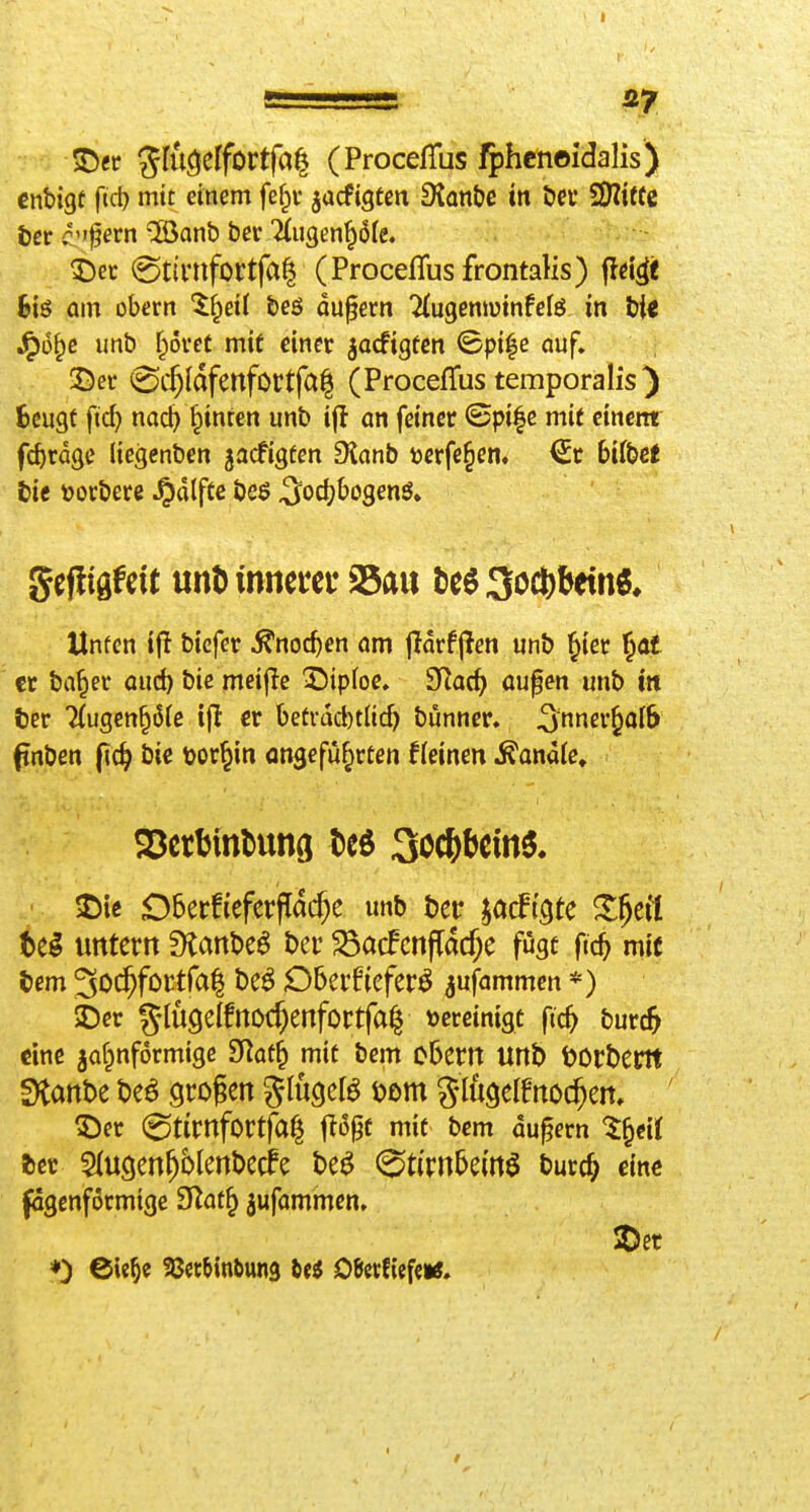 S5er Jfuöeffortfal (ProcefTus fphcnoidalis) cnbigt fic^ mit einem fef^v jacfigten DJan&e tn öev SHiffe ter c''f ern ®anb ber'iiugen^öfe. ^)ec @tirnfortfa| (ProcefTus frontalis) fld^f 6iö am obern X^tii beö du^ern KugemDinfelö in bi« ^5^c imb f^ovet mit einer ^acfigtcn ©pi^e auf» ©er (Sc^ldfenfortfal (ProcefTus temporaIis) Beugt ftc^ nad)^inren unb if! an feiner (3pi|e mit einem fcbrdge Hegenben jacfigten Dlanb üerfe§en, €r bifbef tic »orbere ^dlfte beö ^odjbogenö» Unten ifl bicfer ^noc^en am jidrf jlen unb ^ier ^af er ba^er aud) bic meijle 'Sipfoe. 3Rac^ oupen unb in ter 7(ugcn§ö(e ijl er betrdcbtlid) bunner. 3nner§oI& (tnben bie tor^in eingeführten f(einen ^andfe. J)ic DberfieferjTac^e unb htt ^acff^te S^eil tel imtern Slanbe^ bei- ^acfcnfldcf;e fügt ftc5 mit i)em 3oi$foctra| be^ Dberfiefer^ ^ufammcn *) ©er glugelfnoc^enfortfal vereinigt ftc^ burc^ eine jaf^nformige 9Iat^ mit bem o5em Unb t)Ort)em 5)tant)e t)eö großen glucjefö öom glugelf noc^en, ©er (gtirnfortfal flögt mit bem du^ern %^t\i »er Sfugen^blenbecfe be^ (^t(rn5em$ burc^ eine fagcnformige SRat^ jufammen.