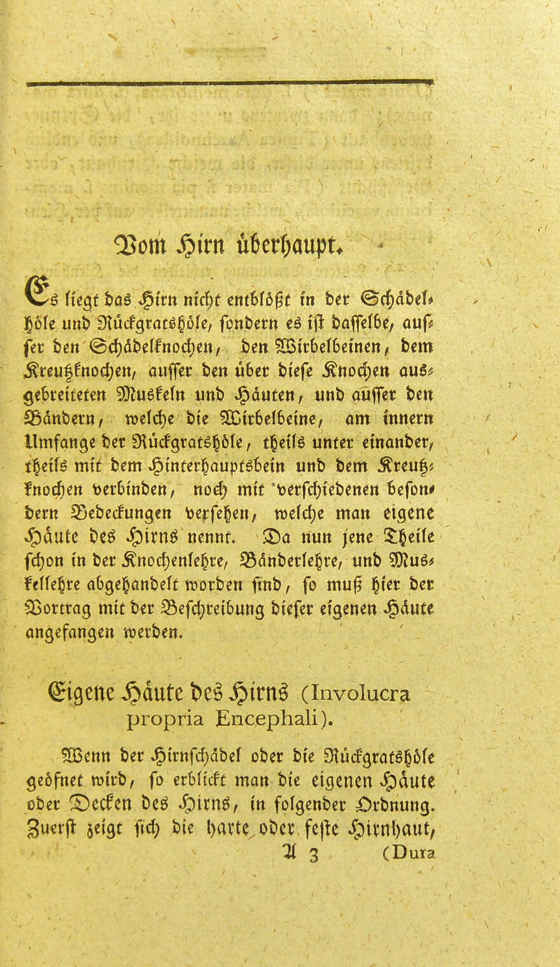 ^om ^itn ü6er(;aupu - ik^t baö ^tm nidjt entblößt in ber ©c^dbd» pic unb Siücfgrntöpfe, fonbcrn ijl boffcfBe, auf« fer ben @d)(ibeIfnod)cn/ ben 503it:bcf6ei'ncn, bcm Ä«u|fnod)cn, auffet bc« über biefc ^ttod)en auSf gebrcttefm 3}^uö!eftt unb Rauten, unb aüjfer bcn Södnbcrn, tveldje bte SDir6c(6c(ne, om tnnem Umfange bet Dtüdgrats^öfc, t^eilö unter einanber, t^eiU mit bem J^mferl^auptöbem unb bem Äreu|j fnorfien t)er6tnben, noä) mit 'terfdjxebenen befon* bern 2Qebec!ungcn \)erfc|en/ föetdje man eigene ^dute beö ^irnö nennt. S)a nun jene 5:§eUe fd)on in ber ^noä)mU^u, S5dnberle§re, unb SKu6* feUc^re abgel^anbeft morbcn finb/ fo mu^ ^{er bcc Sßortrag mit ber 33efci;rei6ung biefer eigenen ^dute angefangen Vüevben. ©igene ^dute t)e^ ^irn^ (involucra propria Encephali). 5ßcnn ber J^trnfd)dbel ober bi'e 9IücFgrat6l^öfe geöfnet wirb/ fo erbli'cfü man bie eigenen >5)dute ober ^ccfen beö ^pirnö, in fofgenber £)rbnung. guerjl jeigt ftc^ bie l)avte. bbciv fcj^e Jpi(nl)aut,