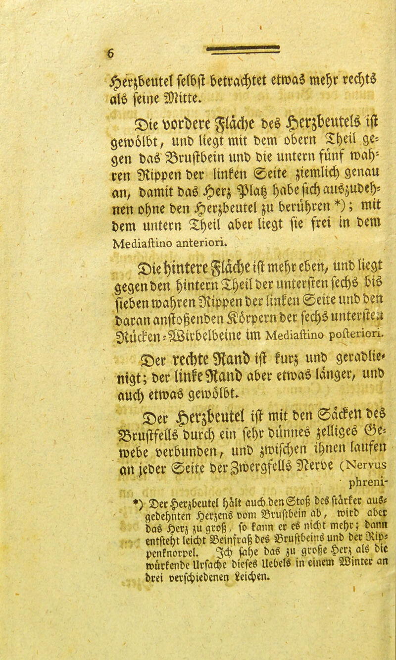 6 - Jper&beutel felbjt betrautet etma* mefjr rechte atö feine 3)tf tte. <Dtc v>ort>ere glddje be$ £>er jteutcfe $ gewölbt, unb liegt mit bem obem Xbeil ge* gen ba£ föruftbetn unb bie untern fünf roafj'- ren Stippen ber linfen ®eite jiemlid) genau an, bamit ba$ #era g>ta^ f>abe ftd) au^ubeb* nen ofjne ben iper^beutel ju berühren *); mit bem untern Xbeü aber liegt fte frei in bem Mediaftino anteriori. «Die Wintere gtöd&e iff mebr eben, unb liegt gegen ben Lintern Sljeil ber unteren fecf)ö bie fteben magren Ütippen ber linfen (Seite unb ben baran anjbgenben tßrpern ber fecfc* unteren fHÜcteniSöirbelbeine im Mediaftino pofteriori. £)er recbtc $cmt> tjt f ur$ unb gerablie* mgt; ber linfe^ani) aber etroaS langer, unb aucf) etroaS gemälbt- ©er £er$eutet tjl mit ben ©dcfen be$ 33ruj*fe(lä burd) ein fet)r bünneS ^eiliges ©e* mebe berbunben, unb föifötn ü)nen laufen au jeber (Seite ber SröergfellS Sfterbe (Nervus • phreni- ♦) 2)ec£ersbeutel f)Mt aud)ben©to§ bcöftarfec aufc gebeulten J?erjenö t>om 33vuftt>em ab, «icb aber ba* £ers ju groß, fo fann er c§ ntdn mef)c; bann entftebt letd)t S3cinfiaß beö $3ruftbeinS unb ber &tp« pcnfnocpcl. 3<fr fat>e baö ju große £cr* atö bte nwrfenbe Urfac&e biefeä Uebel* in einem Sßintcc an beei ©erfefciebenen ieidpen.