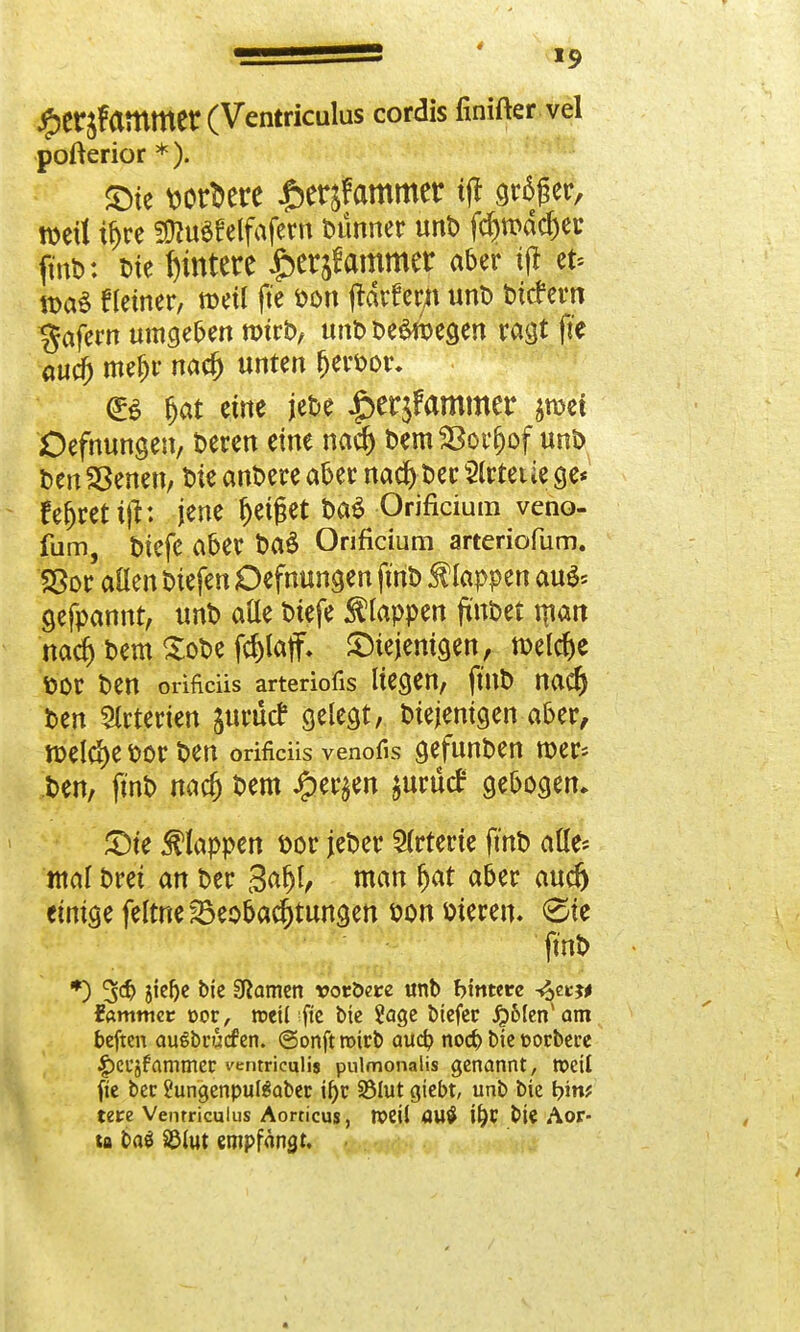 ^erjfammet(Ventriculus cordis fünfter vel pofterior * ). £>ie wrt>ere ^erjfammetr tjt gro>r, weit ü)re Sföuäfelfafern Dünner unD fcr;wdd)er fmD: Die Untere flammet aber ifl et* n>a$ Heiner, metl fte fcon jtdrferu unD Dtcftrn Däfern umgeben rotrD, unD De&begen ragt ffe attcf) mefjr nacf) unten (jeröor. fjat eine jeDe £er$fammer jmei Oefnungen, Deren eine nacf) Dem 23orj)of unD Den Sßenen, t>ie anDere aber nad) Der SHrteiie ge* fröret ijh jene geiget DaS Orificium veno- fum, Dtefe aber Da$ Orificium arteriofum. Sßor allen Diefen Oefnungen fmD ®lappm aufr gefpannr, unD ade Dtefe klappen ftn3>et man nacf) Dem SoDe fcf)laff. diejenigen, meiere toor Den orifieüs arteriofis liegen, ftnD nacf) Den Arterien jurüct gelegt, Diejenigen aber, mlfyt Dor Den orifieüs venofis gefunDen roer* Den, ftnD nad) Dem £er§en jurücf gebogen. die klappen Dor jeDer Arterie ftnD alle* mal Drei an Der 3af)l, man Ijat aber aud) einige feltne Beobachtungen t»on meren. (Sie ftnD *) 5$ 5»c^ l>ic SRamen voröetre unb bimere ^et# iammev t>or, n>eü fte bie 2age Dtcfcc Jp&len* am beften auSbrucfen. ©onft roirb auefy noef) Die t>orbet*e f)ci*jfammer ventriculis pulmonalis genannt, weit fte bec 2ungenpul$aber if>r S3htt giebt, unb Die bin* tere Vemriculus Aorticus, tx>CÜ au$ bie Aor- ta baö 25(ut empfängt.