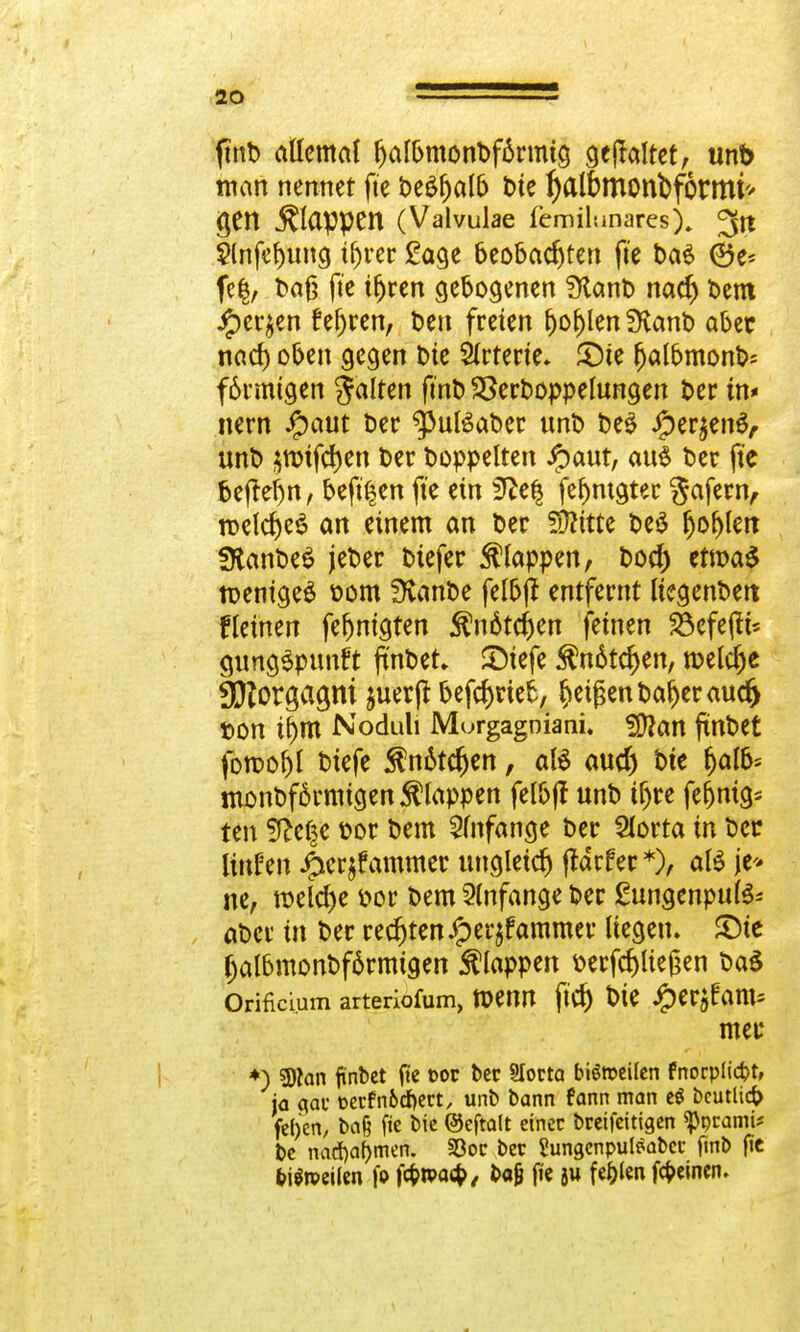 fmO allemal IjalbmonOfärmtg gehaltet, unb man nennet fte Oe£fjalb tue fyalbmonbfotmi' gen klappen (Valvulae femihinares), ^tt 2(nfef)ung tfjrer Sage beobachten fte OaS ©e* fe$, Oaß fte tfjren gebogenen StanO naefj Oem £er$en froren, Oen freien f)o£)len SKanO aber naef) oben gegen Ote Arterie. £)te fjalbmonO* förmigen galten fmO SSerOoppelungen Oer in* nern Jjpaut Oer ^uBaoet nnO OeS iper^enS,- unt> jnrifcfyen Oer Ooppelten £aut, au£ Oer fte beffeljn, beft^en fte ein 9?e§ fef)ntgter gafern, roelcfyeS an einem an Oer Wlittt Oes ljol)lett fRanOeS jeOer Oiefer Etappen, Oocr) etmaS toenigeS oom ÜvanOe felbft entfernt liegenOett fleinen fefjnigten $n6tcf)en feinen S3cfefit* gungSpnnft jtnOet» £)iefe $n6tcf>en, welche g^orgacjni juerjt betrieb, feigen Oafjeraucr) ton if)tn Noduli Murgagniani. Sftan ftnOet fotool)l oiefe $n6tcr)en, «16 aucr) oie ^aI5= monOfärmtgen klappen felbjc unb tfjre fe§mg= ten Sfte^c oor Oem Anfange Oer Slorta in Oer Hufen £cr$£ammer ungleich jtdrfer *), aB je* ne, roelcfye oor Oem Anfange Oer ßungenpute* aOer in Oer rechten £er$fammer liegen. £)te (jalbmonOförmtgen klappen oerfcf)Ue§en OaS Orificium arteriofum, toenn ftcf) t>ie .(per^am* mer *) SDfan finbet fte »or bec Slorta bisweilen fnorpfiebt, ja gau cerfnöcfKct, unb bann fann man e$ beutlicb fehlen, ba§ fte bie ©eftalt einer bretfeitigen ^pramü bc nadjafjmen. S3oc ber ?ungenpul$abcc fmt> fic fritoeiUn fo fefetpaeb,, fcajj fte ju festen fernen.