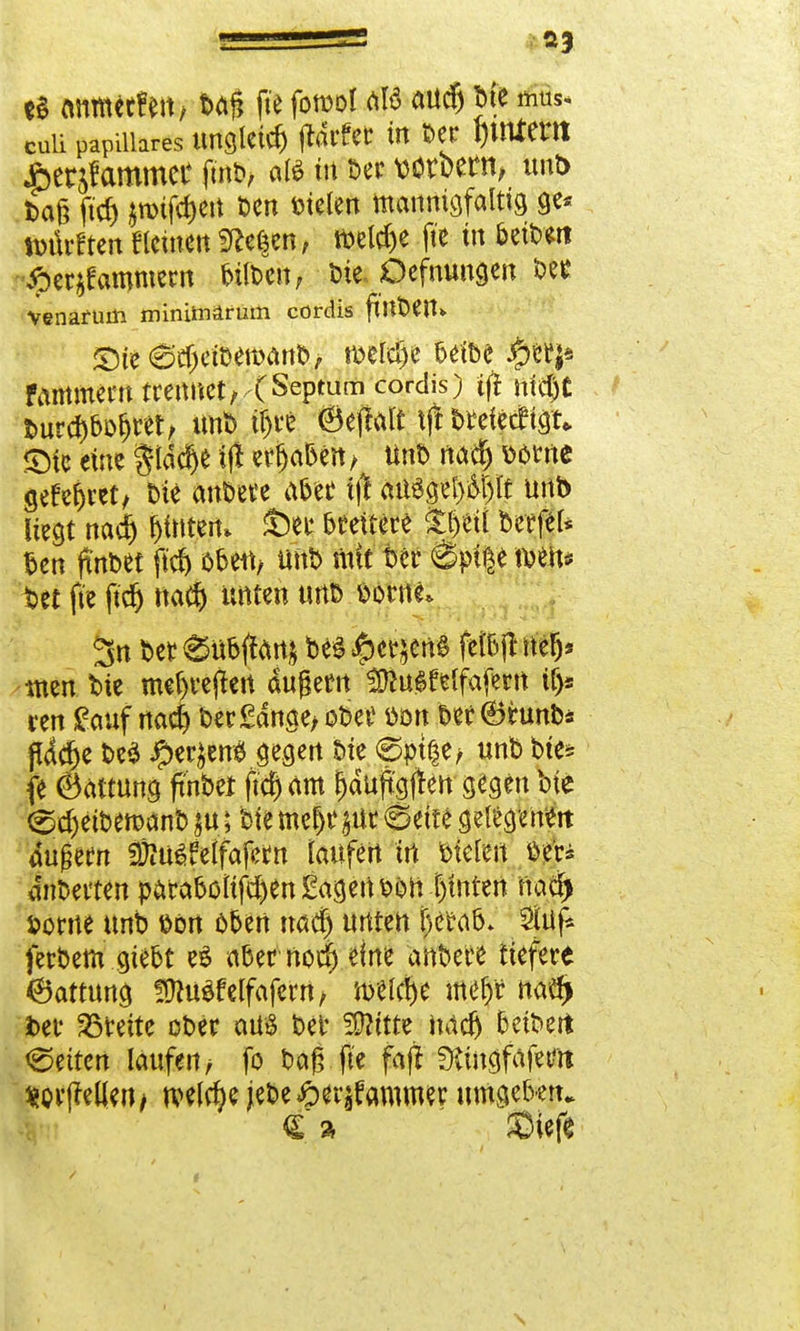 e§ ffltmwfett/ tag fie fotüol atf aud) Jie ifi&> culi papilläres ungleich (Idrfet in Der 1)tttteM Äccjfammct finb, ate in ber wroeflt, unb ta§ ftd) jTOtfcfKtt Den Dielen mannigfaltig ge* »ürften Keinen 3fce$en, tbeldje fte in betDm £cr$fammem ttfoeit, Die-Oefmmgen bee venarum rninirnärum cordis fttlDen» ©ie6e(jcft>eroani>/ midyc beibe famment trennet, (Sepmm cordis) $ mdjt Durc^bofjtet, unb ü)tt ©ejtÄlt tft DteiedPigt» Sic eine gldd&e (jt ergaben, Unb nad) Dorne gefeljrct, Die anbete aber ijt ausgebt unb liegt nadj Lintert» Set breitere $§eit» ben ftnbet ftd) oben, unb mit' Der 6piße Iben* Set fte ftdt> nad) unten urtD Dorne. 3n Det6ubftan| bestens fet&itnelj* tuen. Die meljrejtat äugertt ^u$felfafern tf)* ren £auf nac§ Der £dnge> ober Don Der ©runb* fldcfje be$ #ec$en* gegen Die <Sptfje> unb Die* fe ©attung ffnbet ftd) am fjduftgfreu gegen Die (gdjetbemanb $u; Die mefjr $ur 6eite gelegenen äußern Steuöfelfofern laufen in Dielen Der* dnberten parabötifc^en Sagen dou T)tttten nad) Dorne unb Don oben nad) unten Ijetab» $üf* ferbem gtebt es aber nod) eine anbete tiefere ©attung !ÜUi$f eifafern, Ä$« meryr nad> ber breite oDer aus ber 5D?ttte nadj beiDert leiten laufen/ fo baß fte faß SKtngfafeflt *or|Men> tveldje jebe£er^ammer umgeberu <E » Sief*