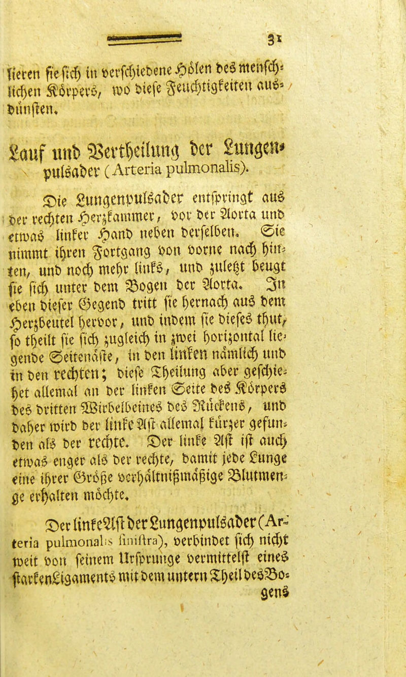 3* Tieren fte jtcf) in t>erfcf)iet>ene£6(en beSmenffy liefen flörpetf, wo biefe geuc&ttgfetten au«» Hüffen; Sauf unb 2>evt()eihMö t»er guttun* puteaber (Arteria pulmonalis). <Dte gtmgenpußabet entfpringt au£ ; ter regten #er$famroer, m Der Slorta unt> «tua* linfer #anb neben t>evfe(6ett. ©te nimmt i&ren Sortsang wn öorne naef) fjttf^ ten, unb no* mef>r unb $ule§f&eugt fte |M) unter bem Söogen t>cc Slorta. 3» eben liefet ©egenb tritt fte Ijernad) au$ bem #er$beutet f)erv?or, unb inbem fte biefeS fo t&eilt fte ftcf) ^ugleid) in ^roei r)on$ontal ltc> genbe ©eitc-näße, in ben littfen ndmücf) unb tn t>en redeten; biefe Teilung aber geftyie* §et allemal an ber linfen 0eite beS $örper$ fceö britten SBirbelbemeS be$ SRticfen*, unb beider mtrb ber Imfe^jl allemal fürjer gefum t>en aB ber red)te* ©er Unfe 2ljt ijt aucf> etmaS enger aB ber rechte, bamtt jebe £unge «ine tr>rer ©riße ^dltntjwdßtge Summen* ge erhalten möchte, S>eclinfe5tftber2ungenpuKaber(Ar- teria pulmonale finiftra), öerbtnbet ftcf) mcj)t toett t»on feinem Urfpruuge fcermttteljt eines jto en£igament$ mit bem untern £f)eil &e$Söo* genS