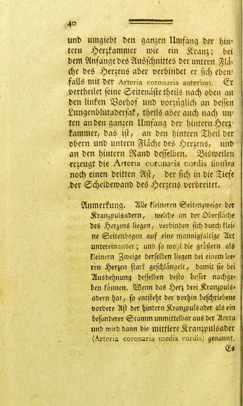 unb umhiebt ben ganjcn Umfang t>et fyw rem Jper^fammer wie ein $ran$; bei t>em Anfange t>eö 5Iuöf$mtte$ t>cr untern gld* d)e be$ #er$en$ aber öerbmbet er ftdj eben: falB mit t>er Arteria coronaria anteriori. (£r ttertbetlet feine <Seitendjte tfjeite nad) oben an ben ttnfen $>örl)öf unb bor^itcjltd) an befielt gungenblutaberfaf, tfjetfö aber audj nad) m ten an ben ganzen Umfang ber Lintern iperj-- fammer, baö ijt, an ben fjmtern Xfjetl t>er x>bern unb untern gldd)e bes Jper$en£; unt) an ben Lintern SKanb befielben» 23n?tt>eilen erzeugt bie Arteria coronaria cordis iimrtra noct) einen Dritten ?ijt, Der ftdj in bie Xiefe .ber @d>eibemanb be$ Jper$en£ verbreitet, 5lnmerfimcj- lllle Feineren ©eitenjrceige ber Äranjpulöabern, welche an Der Dberflad)« beö Jperjenö liegen, Derbütben fief;buret) flet* ne ©eitenbogen auf eine mannigfaltige Tief unteretnanDer; unö fo rooM bie großem als fleinern 3TOe'9c berfelben liegen bei einem leo ren Jperjen ftarf gefd;langcft, bamit fie bei 3u$be§nung be|Jelben befro beffer nacfjge* ben fonnen. SGSenn baS 5berj brei ^ranjputö* abern Ijat, fo entfteljt bev uor(jin befa)riebene torbere 2lft ber ^intern Stranjpulöaber alß ein befonberer (Stamm unmittelbar auö ber Tlovta unb wirb bann bie mittlere Ärattypuföabec (Arteria coronaria media cordis) genannt.