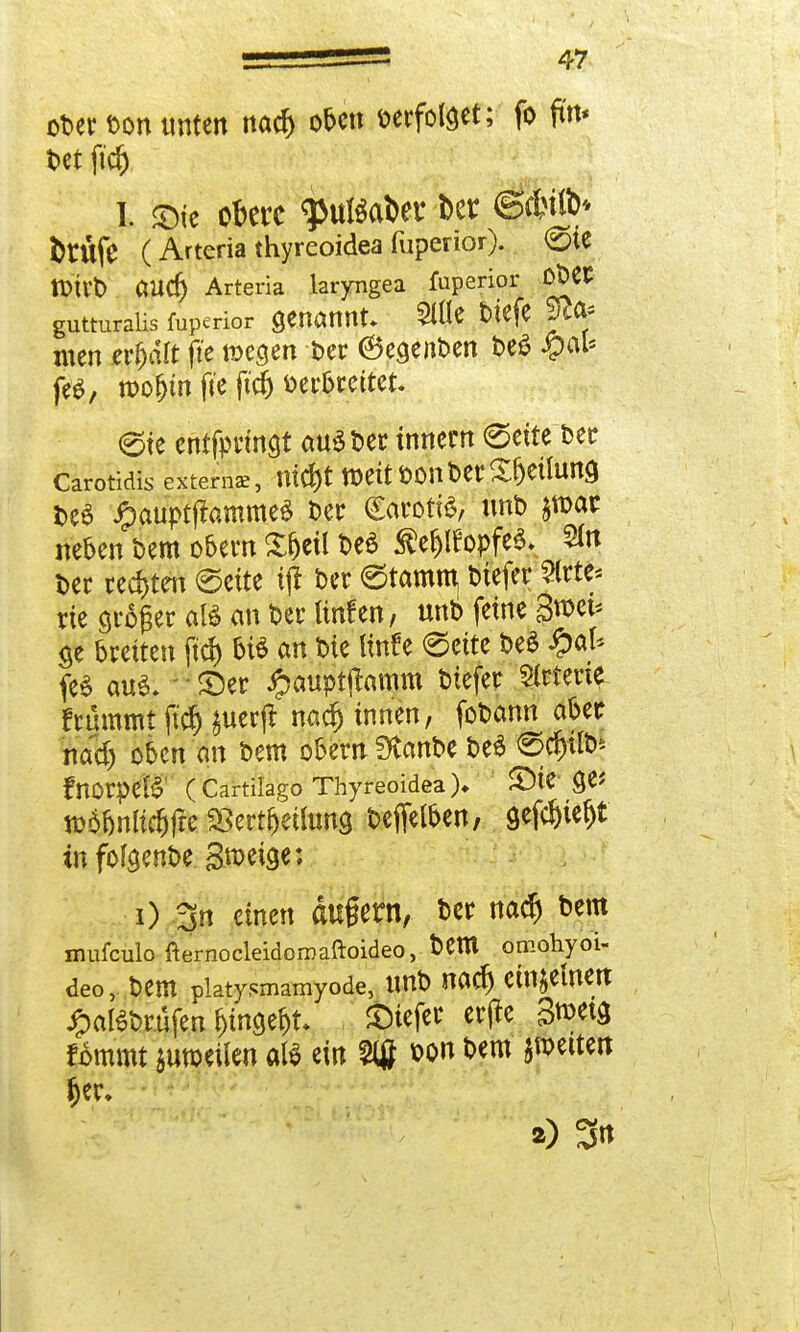 ober ton unten nacf> ofcen »erfolget; fo ftn* bet ftdj % <Die obere «Pulver Der ©*«&♦ Mfe ( Arteria thyreoidea fuperior). <5ie tOÜ'b aud) Arteria laryngea fuperior Obet- gutturaiis fuperior genannt Slflc tiefe 9te men ereilt fte föeam Oer 6egenben be£ «pal* feö, n>of>m fte ftcf) berprettet. 0fe entfprtngt auäber innern (Seite ber carotidis exte™*, ntc&t weitoonberXfjeüuncj t>ea ipauptflammeö ber Carotin, unb jtoar neben bem o&ern be$ $efjtfopfe$- 9fo ber rechten ©cite t(l ber etamm, btefer ?(rte< rie großer atö an ber unfen, unb feine 3»et* $e breiten ftd) bi$ an bie ttnfe <5eite be$ £al* feS auS- 1 - ©er ipauptjbmm btefer Arterie frummt ftdHuerft nad) innen, fobann aoer nad) oocn 'an bem o&ern Svanbe be$ ©$tlt>* fnorpell' (Cartilago Thyreoidea)* SMe 9^ tü6&nlt$fre aSert&eüung beffeföen, gefd)iefjt infofeenbe. Steige: i) 3n einen äugern, ber naef) bem mufculo fternocleidomaftoideo, bem omohyoi- deo, bem piatysmamyode, unb naef) einzelnen Jpaßbrüfen tyn^U tiefer erfte 3n>eta. fommt $u»eilcn als ein 2$ bon bem fetten $er. 2) 3n