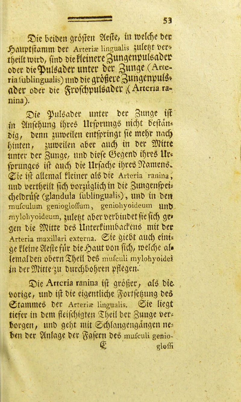 5Mc 5eiben gr6jfeit 2leffe, tit welche bec JpaUptftamm ber Arteria! lingualis jule^t ber* t&eiltn>iri>, fmb t>te Heinere gungenpu^abet ober Die^uWaber unter ber Sungc (Arte, ria tubiinguaiis) unb bie a,r&gere3uncjenpufö» aber ober bie grofc&putöaber t( Arteria ra- nina). S)t'e ^uBabec unter ber Bunge tfc in $(nfefjung u)te$ tteßftmg* tridjt b'ejfdn* big, benn juroeilen entfptwgt fte mefjr nad) hinten, guroeilen aber mtdj tn ber SJKtte unter ber gunge, unb biefe ©egenb ü)res Ur* fprungeS i(T auc^ bie Urfad)e tfjreS 9tomen$* <£ie i(l allemal fletner alSbie Artem ranina; unb bert^eilt fiel) borjüglid) in bie gungenfpet* C^elbrüfe (glandula fublingüalis), unb in beit mufculum geniügloflum > geniohyoideum unt> mylohyoideum, jule^t aber berbiubet fte ftd) ge* gen bie fÜHtte be$ Uitterfinubatfens mttbee Arteria maxillari externa, ©te gie&t attCT) eint* öe Heine Sleffefik bfe#autt>on |M> roeld)e al» Umalben o&ern£fjeil be£ mü&iüi mylohyoidei in bereute burd)bofjren pflegen.' £)ie Arteria ranina fff großer, als bie» vorige, unb tjt bie eigentliche gorffeßung be$ (Stammet ber Arterie Unguaiis. (feie liegt tiefer in bem fleifcfygten £f)eil ber guuge fcer* fcorgen , unb gef)t mit «Sdjlaugengdngen ne= fcen ber Anlage ber gafem be$ mufcuU genio- £ gloffi >