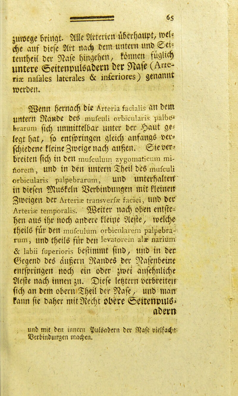 um>e$e 6rinat Me «eilen ü&erljaupt, mU $e auf biefe Krt nac$ fem untern unb fim tentljeH t>ev gftofc fitnfle^n, Wunen fu9U<9 untere <5eitenpuI6at>ern ber Sttafe (Ac- ria: nafales laterales & inferiores) genannt £Öenn f>erttad) bte Arteria facialis an bem Uttteftt 9ta«t)e be$ mufcüli orbicularis- branim fid) unmittelbar unter Der £>aut Cegt^at, fo entfpringen gletdj anfand »er* fdn'ebene fleine 3n>etse naef) außen; @te W breiten ftd) in bett mafcülum zygomaticum mi- norem, unb in ben imtern £l)etl be6 mufculi orbicularis palpebrarum, UUb UnterhaltClf' in btefen SÖluäfefo' SSer&mbtmgen mit fietneir gweigeit ber Kiierix transverfse f aciei, Ullb ber' Arterie temporalis. ' Leiter nad) oben entjle* Jjen au£ tfjr nod) onbere Heine 9lefte, welche- tr;eilö für beit mufculum orbienkrem palpebra- rum , unb tfjettö für ben levatorem alse nariüm & kbü fuperioris benimmt finb, unb in bec 6egenb beö auf ern 3tanbe$ ber Sfatfen&etne entfprtwjen nod) ein ober jroei anfefjnlid)? Stefle nad) innen &u. SDiefe ledern v>er5retteir ftcf) an bem obern £fjeü ber 5?afe, unb man fann fte bafjer mit Stecht obere <5eitenpuiö* aber« unb mit ben tnnetn ^ulfabern bev SRofe &idfa«&fc' föer&mfcungen machen.