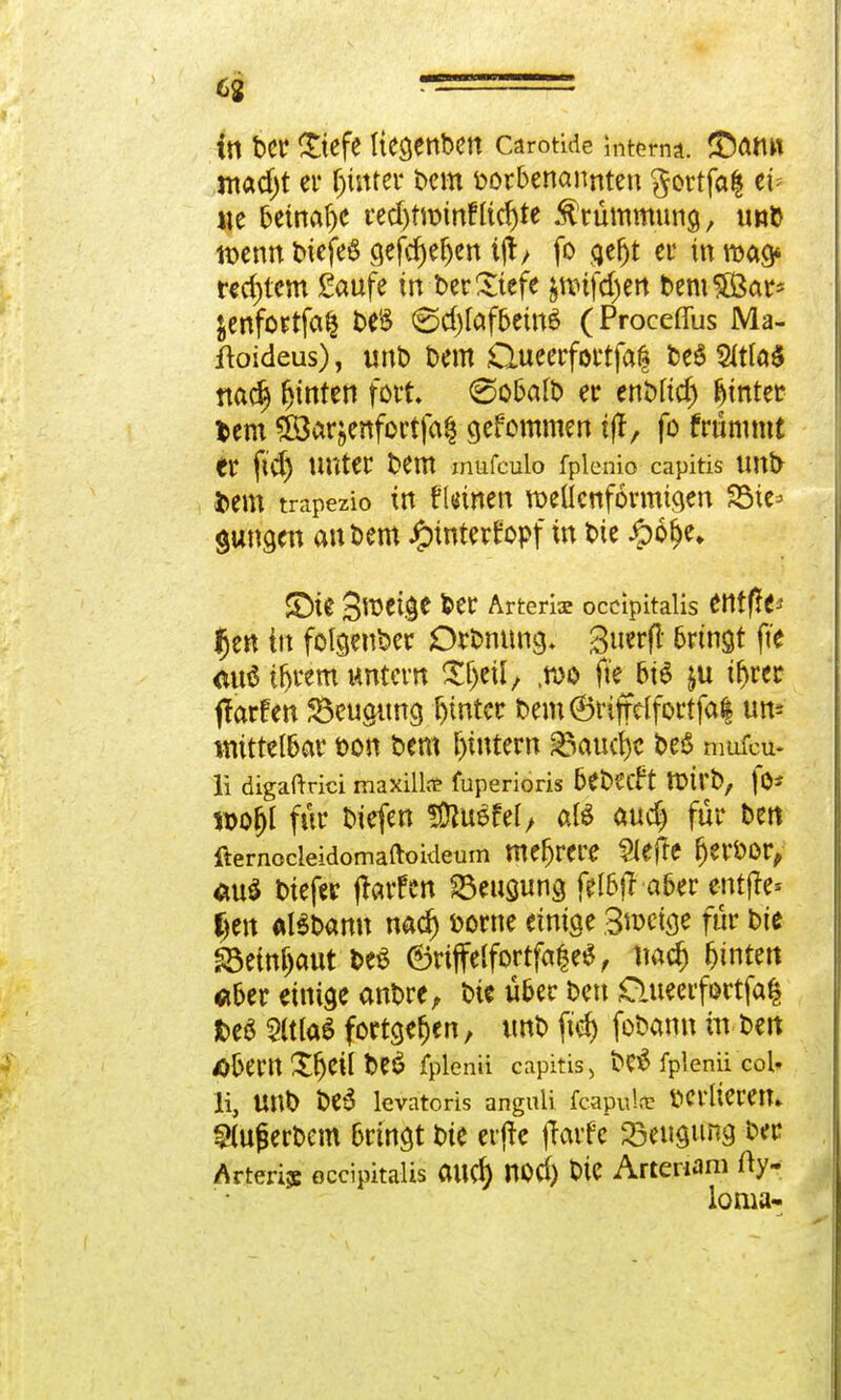 madjt ei* hinter bem borbenannten §ortfa| et= «e betnafje redjttDinfftdjte Krümmung, unb wenn biefe$ gefd)eljen tjt/ fo gefjt er in mag« weitem Saufe in ber£tefe $tt>tfd)ert bemSÖar* $enfortfaJj be'S €5d)lafbein6 (Proceffus Ma- floideus), unt) bem Queerfortfa| be$ SitfoS nadj hinten fort. <Sobafl> er enbud) Eintet lern ?£Barjenfortfa§ gefommen t(l, fo früntmt er ftd) unter bem mufcuio fplenio capitis unb fcem trapezio in fUtnen wellenförmigen 23ie* jungen an bem ipmtertopf w bie £61je, SDte Steige ber Arterie occipitaiis entffe* Ijen in folgender Dünung, 3uerfl bringt fte <utt$ tljwm untern Sljeil, ,n>o fte bi$ tfjrec ff arten Beugung Gintec bemCSriffafortfafc um mittelbar bon bem gittern g3aiur>c beS mufeu- Ii digaftrici maxilln? fuperioris 6cfcecft Wirb, fo* roojjl für biefen SÜluSfel, aß au$ für ben ftemocleidomaftoideum mehrere tiefte Ijerbor, au$ biefev fiarfen Beugung felbtfaber entffc« tjen «Bbanu nad) borne einige Steige für bie S3cta&aut*eS ®riffelfbrtfafce*, nad) Lintert aber einige anbre, bie über ben Clueerfortfa^ JOeS SttlaS fortgeben, unb ftd) fobann in ben äberu Xr)eil be£ fptehü capitis > be$ fptenü coU Ii, Unb be3 levatoris anguli feapülffi OCrlierett. ^lujjerbem bringt bie erfte ffarte Beugung Oer Arterie occipitaiis aud) M>d) bie Artenam fty- loma-