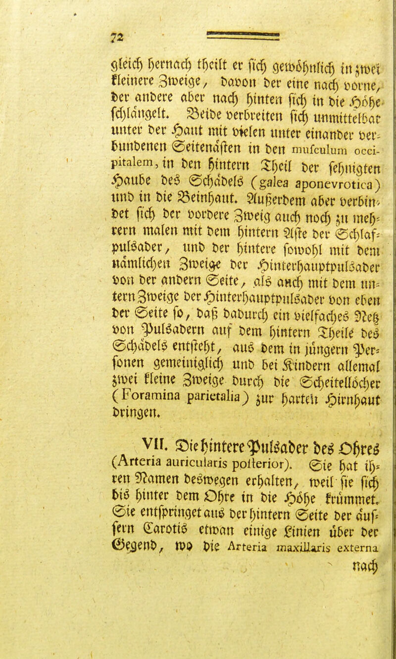 «Jeidj fjcntrtd) mit er firfj gen>%Hdj in >9mi Heinere Bmeige, Davon t>er eine nacf) vorne, t>er anDere aber nacf) fjmten ftd) in t>te £n()e. fctydugelt. 23etDe verbreiten ftcf) unmittelbar unter Der £aut mit vielen unter einander t>er- fcunDenen (gettendffen in Den mufculum occi- Pitalem,in Den fjintern Xl)cii Der fefjuigten #au6e De3 (SdjaDeB (galea aponevrotica) ttnD in Die S3etnr)aut» 2(u£erDem aber verbim Det ftcf) Der vorDere 3*t>eicj attcfs nocf) mefc rem malen mit Dem Lintern 2tj}e Der fecrjlaf; pulöaDer, unD Der Wintere fotvof)l mit Dem nämlichen 3tt>et^c Der #mterIjauptpuBaDer sott Der anDern @ette^ aB and) mit Dem im= iern3*veige Deriptnter^auptputeaDer von eben Der 0eite fo, Da£ DaDurcf) ein vielfache* 9?e£ von ^ußaDem auf Dem ^intern Steife De$ ecfeaDel^ entftefjt, au* Dem in jungern $er* fönen gemeimgltcf) unD bei ftinDem aflemal $tvei fletne Steige Durrf) Die @cf)eiteüoci)er (Foramina parietalia) jur f)arteh £irnbaut Dringen, vir, £>ie Untere 9}uteat>er besofjres (Arteria aurictilaris polterior). <gie f>at i^ ren tarnen Deömegen erhalten, tveü fie ftcfj ti& hinter Dem Ofjre in Die Jpofje frümmet. eie entfpringetatt* Der[)intern eeite Der auf; fern Carotis ertvan einige Linien über Der (ÖegenD, m Die Arteria maxiüaris externa naej) I