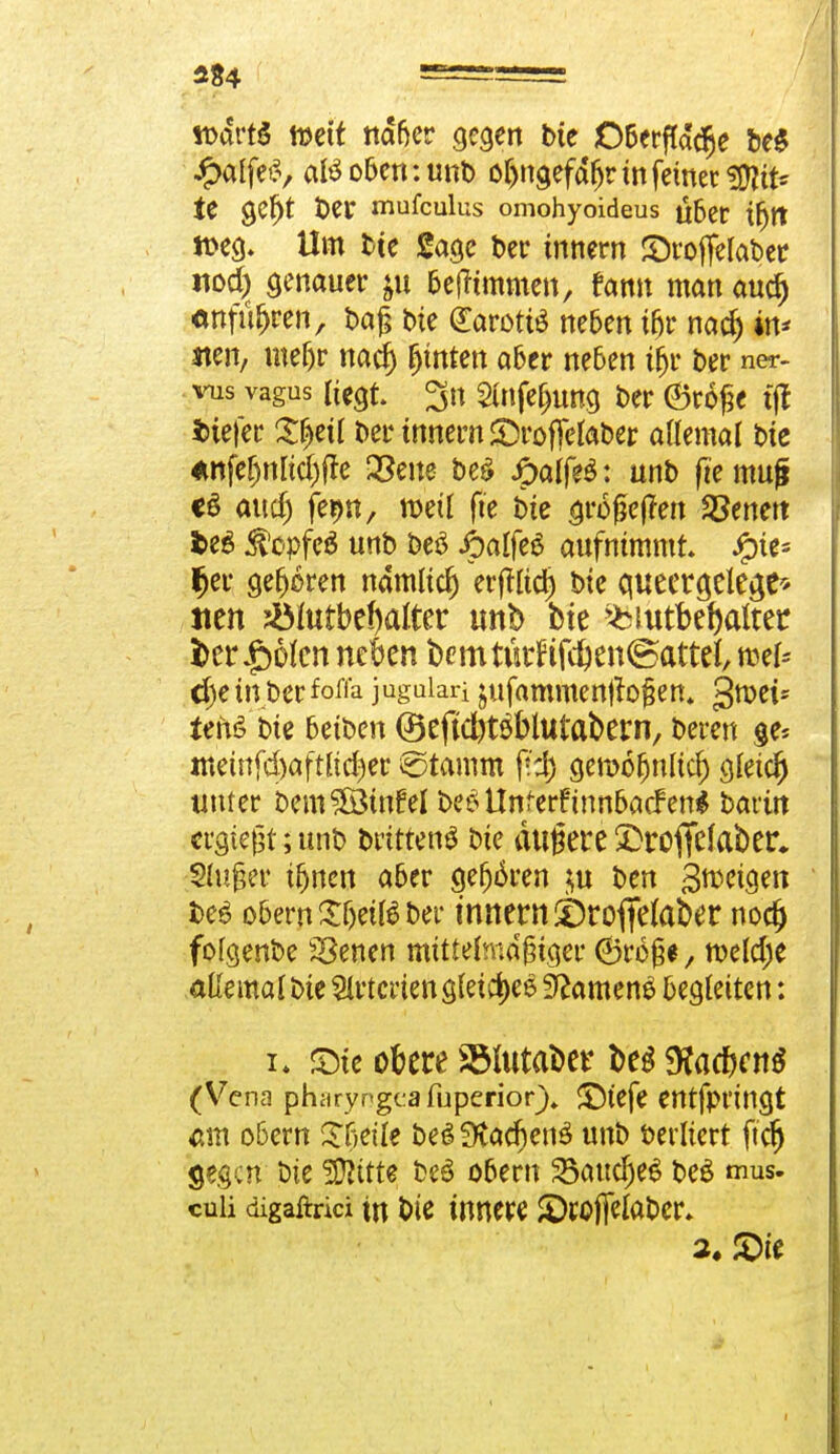 ibdrtS mit ndfjer gegen bte O&erfldc^e be$ £affe$, a$ oben: unb o^ngefd^r tn feinet %fliu U gefjt Der mufculus omohyoideus ttber tfjtt tteg. Um bte Sage ber innern ©roffefobec nod) genauer $u Geflimmert, famt man aud) onfüfjren, baf bte (EarottS neben ifjr nadj in* sten, mefjr nad) hinten aber neben tfjr ber ner- vus vagus liegt 3n 2ütfe(jung ber ®rö> ijt tiefer ££>eü ber tnnem ©roffelaber allemal bte anfeljnndjffe QSene be£ ipaffeä: unb ftemuji <ö aud) fernt, weil fie bte grogejren Jöenett fce$ $cpfe$ unb be3 ibalfeg aufnimmt ipte* Ijer gefjoren ndmucr) erfTttcfj bie queergdege* iten JÖIutbe^atter unb bte ^biutbeftalter fcer |)6lcn nekn bemtikWd)en(Battel, mef= <f)e in ber fofla juguiari jufammen|b§en, gwet* tens bie betben ©eftdjtäblutabern, bereit ge* tttetnfd)aftltd)er £>tamm p'd) geroöfjnltd) gleich unter bemSÖwfel beeiUnferfinnbacFenS barin ergießt; unb brittens bie äußere 5)roffe^ber. Shtfjer ü)nen aber ge(jiken $u ben Sroeigen be6 obern £betß ber innern ©roftefaber no$ fofgenbe SSenen mtttefmdfnger ®ro§#, meldje allemal bie Arterien gleiches S^amen^ begleiten: i, ©te okre SBlutaber beg <KarfKn$ (Vena phciryngt:afuperior)» ©tefe entfpt'ingt «m obern £beüe beöüta^enö unb berliert ftdj gegen Die SÖitrte beö obern 23attd)e6 be£ mus. culi digaftrici tn bie innere ©toffelaber* ©ie