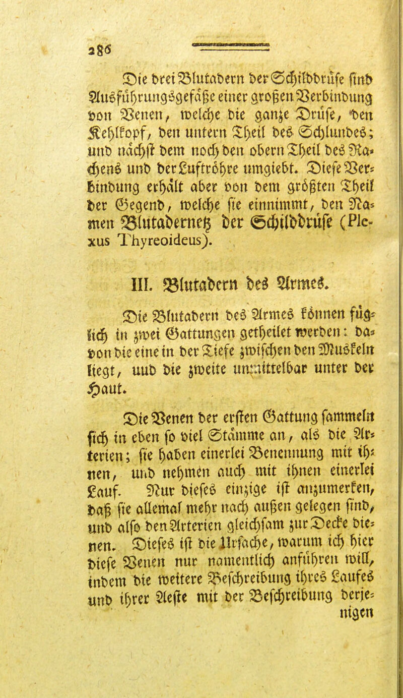 £5ie breiSMutabern ber^cpbbrüfe jmb Slu^fü^rungögefdgc einer großen Sßerbinbung fcou Herten, tt»cld)e bte gan^e ^Drüfe, *ben $ef>I£opf; Den untent Sjj.eü be£ <3d)Iunbe6; unb ndd)^ bem nocf)bett obern£f>eü be£?fta* djenS unb ber£uftr6ijre umgtebt. £>iefe$3ers fctnbung erhalt aber bon bem größten £f>etf fcer 6egenb, meiere ft'e einnimmt, ben ffta* men &lutat>ernef$ ber ©ct>tlt>t>rüfe (Ple- xus Thyreoideus). III. 35(utabern t>e$ Slrmel güe 23mtabern befSlrmeä tonnen fu> Sief) in pei ©Ortungen- ^et^eüet werben: ba* i>onbte einem berXiefe $n>tfd)en ben 3)iu$fein liegt, uub bte jroeite unmittelbar unter bei: £aut. £)ie$8enen ber erfren (Battung fammefrt ftdj in eben fo biel (Stamme an, al$ bte 5(r* terien; ft'e fjaben einerlei Benennung mit i&* nen, unb nehmen auet) mit tlmen einerlei £«uf. S^ur biefeä einige tjt anjiimerfcn, i>aß ft'e allemaf mef)r nad) außen gelegen fmb/ unb alfo ben Arterien gletdtfam jurSetfe bie* nen. JDtefeS tjt biellrfadje, warum tcr) fjter fciefe Sßenen nur namentlich anführen mifl, tnbem bte weitere Sfcefc&ret&una u#e$ Saufe« unb tf)rer 2le|ie mit ber Sefcfcret&una berje* nigen