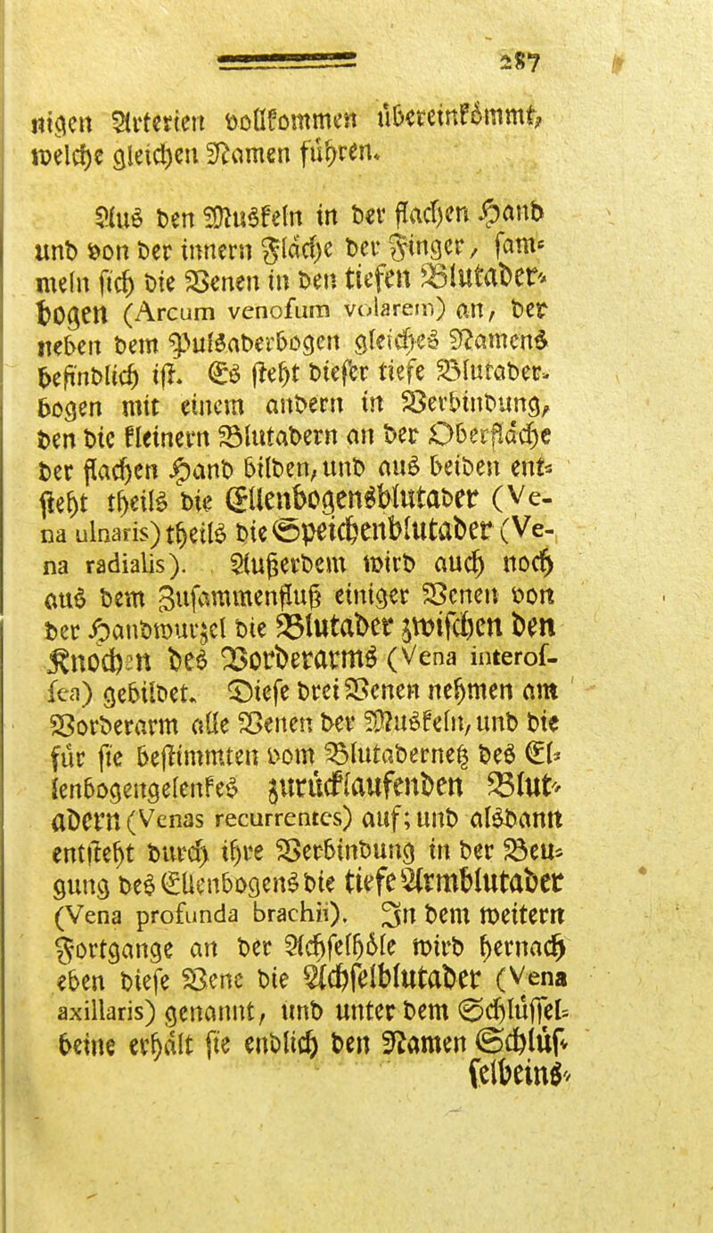 «igen Arterien ftoßfornmen ubetemfämmt, welche gleichen Dörnen führen* Stoß t>en SJtoSfefo in ber flauen #anb unb bon ber innern gläcfje bei* ^mger, fam* mein ftd) bie SSenen in ben tiefen SBlutaber* bOgttt (Arcum venofum volarem) an, ber neben bem gtafSaberbogen gleiches tarnen* bejinblicf) tjh £3 fte&t biefer tiefe SMutaber» bogen mit einem anbtm in SSerbtnbung, ben bie fletnern SMutabern an ber D&erfläcfjc ber packen Jpanb bilben, unb aus beiben ent* tfe&t tf>eiß bie gllcnbogen^Wtttaber (Ve- na ulnaris)t§ettö bie öpeic6enblutabcr( Ve- na radialis). Sfojjerbem wirb aucr) noer) au$ bem 3ufammenßu§ einiger SScnen öon ber £curtm>ur$cl bie 23lutabet jttnfi&en ben ÄHOdben be$ QSorberatm^ (Vena interof- fcä) gebildet* SMefe brei SSenen nefjmen am SSorberarm olle Sßenen ber WluüMn, unb bie (ür fte bejfrmmten t>om S5lutaberne$ be$ €1* JenbogeugelenfeS jutuefiaufenben 35tot* abem(Venas recurrentes) auf; unb atöbamt entließt burd> ifjre SSer&mbung in ber Söeu* gung beSSÜenbogenSWe tiefe StattWtttabet (Vena profunda braehii), 3» bem föeitem gorfgange an ber Sfdjfeffj&fe mirb bernaefj eben biefe SBene bie $d)felWtttabet:' (Vena axillaris) genannt, unb unter bem 0crjlüftel= betne ereilt fte enblic^ ben tarnen (Sodjlüfc