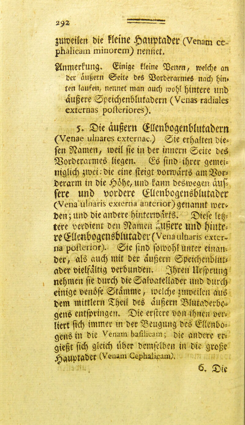 jumeilen bte fleme £auptaDer (Venam ce~ phpekiri minorem) nennet. 2fnmerfung. Einige ffeinc leiten, tvefcf^e an öec äu§ern @eite beö SÖorberaitma nad) §m» ten laufen, nennet man auri) roo&l fjintere tmb äußere ©petcrjenMutabern (Vcnas radiales externas pofteriores). 5. £>te dugem (SllenfcogenWutabem (Venae ulnares externae.) <Sie erhalten t>ie* fen tarnen, metl fte tu ber tnnern ©ette oeö SSorberarmeS liefen. fmb i tfjrer gemei* rnglicf) $tx>ct: t>te eine {fetgt bornxirfS amSSor* fcerarm in tote Jp6fje, unb fann belegen auf* fere tmb derbere (£Uenbo$ett£f>lutaber (Vena ulnaris exrerna anterior) genannt tue» Den; unb Die anbere r;interroart3> SDtefe fes- tere t>erbient t>en tarnen dufkre tmb f)Mte* re(Jüe«b0gen^bIUtai)er(Venaulüaris exter- na pofterior). 0te fmö foroofjf unter einam ber, aB aud) mit ber äußern ©petdjen&fut* aber btelfalttg ber&unben, 3(jren Htfprung nehmen fte burd) bie€$ah>atenaber unb buref) einige benßfe Stamme, roeldjje imeikn <W§ t»em mittlem Sljetl bei augern 2Mutaber&p* gen$ entfpringen* £>te erjlere fcon irrten trift Hert fiel) immer tn ber Beugung beS (£ßen&o* genS iu bie Venam bafilicam; t>ie anbere er? giegt ftd) gleicf) über bemfetben in bie große j£)ftUl>taber (Venam Cephalip am), 6, £)(e