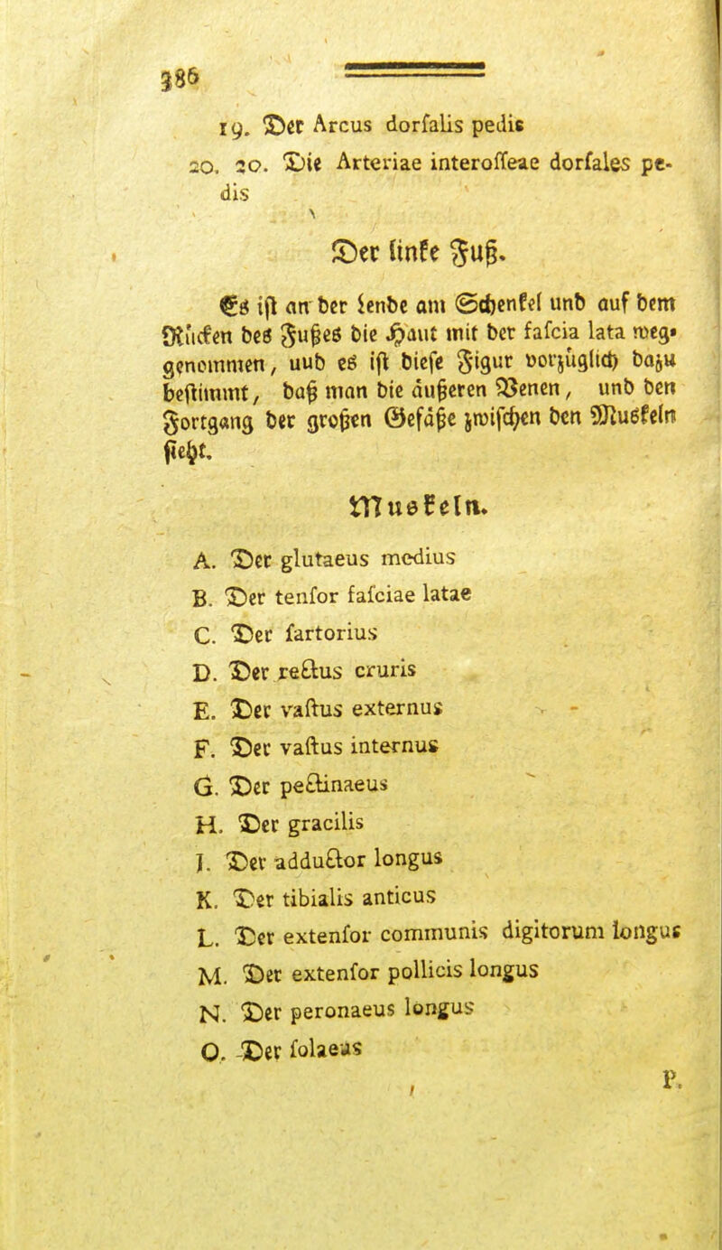 19- ©et Arcus dorfalis pedis 20. 20. ©ie Arteriae interoffeae dorfales pe- dis <©er ftnfe 3uß. iß an ber ienbe am ©cfccnfd unb auf bem fRucfen bes Sujjeö &ie jPaut Imt ber fafcia lata m& genommen, uub eä ift biefe $igur »orjugltd) baju benimmt, ba£ man bie äußeren fetten, unb ben Fortgang ber gtojjen @efä£e jroifdjen ben «Stofeltt A. ©er glutaeus medius B. ©er tenfor fafeiae latae C. ©er fartorius D. ©er reftus cruris E. ©er vaftus externus F. ©er vaftus internus ö. ©er pe&inaeus H. ©er gracilis J. ©er addu&or longus K. ©et tibialis anticus L. ©er extenfor communis digitorum loiiguc M. ©et extenfor pollicis longus N. ©er peronaeus longus O, -©er folaeas