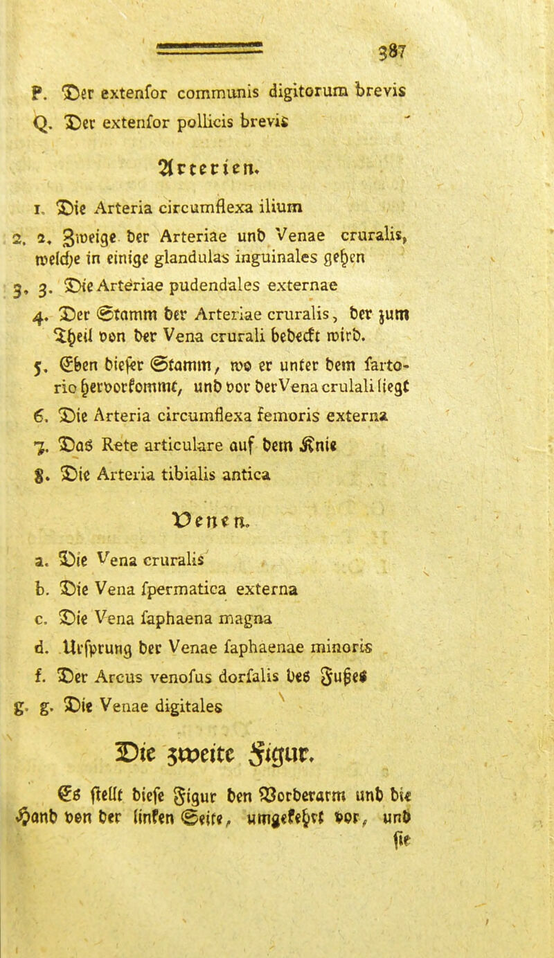 P. Der extenfor communis digitorum brevis Q. Der extenfor pollicis brevis %vtttien* I. Die Arteria circumflexa ilium 2. 2, 3lt)e'9e &er Arteriae unb Venae cruralis, rc>eld;e in einige glandulas inguinales ße£en g, 3. Die Art^riae pudendales externa« 4. Der Stamm ber Arteriae cruralis, ber jutn t>on ber Vena crurali bebecft roirb. 5. (£&en biefcr @tamm, roo er unter bem farto- rio (jerfcorrommf, unb t>or ber Vena erulali liegt 6. Die Arteria circumflexa femoris externa 1, Daö Rete articulare auf bem $nie g. Die Arteria tibialis antica a. Die Vena cruralis' b. Die Vena fpermatica externa c. Die Vena faphaena magna d. Utfprung ber Venae faphaenae minoris f. Der Arcus venoius dorfalis beß §u§e* g. g. Die Venae digitales 3Dte ycotitt £ö jMt biefe §igur ben Söorberarm unb bte #anb t>en ber (tnfen <Seire, umgcfefcrt t>or, unb fie 1