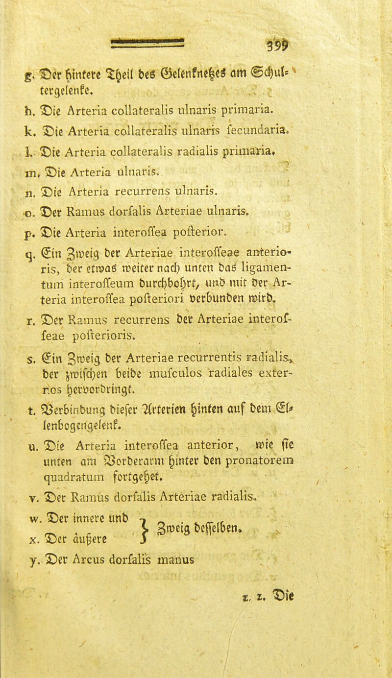 g. Der funfere S&eil beö ®e(enfne§e$ am ©djut» tergelenfe, h. Die Arteria collateralis ulnaris primaria, k. Die Arteria collateralis ulnaris fecundaria, L Die Arteria collateralis radialis primaria» in, Die Arteria ulnaris. n. Die Arteria recurrens ulnaris. •o. Der Ramus dorfalis Arteriae ulnaris. p. Die Arteria interoffea pofterior. q. Sin 3lvc'9 ^er Arteriae interoffeae anterio- ris, ber etn?aö weiter naef) unten baö ligamen- tum interolTeum burdjboljrt, unb mit ber Ar- teria interoffea pofteriori öerbunben wirb. r. Der Ramus recurrens ber Arteriae interof- feae pofterioris. s. Sin S^eio, &er Arteriae recurrentis radialis, ber jroifcfyen beibe mufeulos radiales exter- nos tjeröorbringf. t. Söerbinbung biefer Arterien fjinten auf bem €U lenbogcngelenf. u. Die Arteria interoffea anterior, wie fte unten am ^orberarm (unter ben pronatorem quadratum fortgebet. v. Der Ramus dorfalis Arteriae radialis. w. Der innere unb _ . x. Der äußere 3 y. Der Arcus dorfalis manus