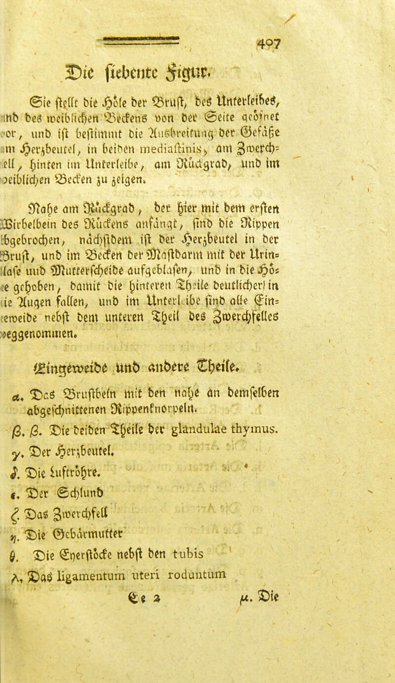 407 .Die jiebentc §\§vx< (Sic jtcjfc bie J?>ofe ber <23ru(t, beö Unterfej&e*, mb beö rceiblicben ^etfeng wen ber (Seite qcotnet tot, unb ifi befHmmt bie HtisbrctfUiig ber @efdf;e um Jjjerjbeutef, in bciben mediaftini:^ am 3^°^^= elf, feinten im ttnt?rfeibe, am Üliictgrab, Unb im :>eiblid;en SÖecfen ju jeigen» Ütafje am O&cfgrab, ber i(jier mit bem erjtett IBic&elbein bes üiücf'enö anfangt, fmb bie Otippett tbgetuod)en, ndd)ftbem ift bei' J^erjbeurel in bet 3vü\t, unb im Q3ecfen Der 9ftaf*barm mit ber Urtn= ilafe uub tfflüttetfötibt aufgeblafen, unb in bie ^6? ce gehoben, bamit bie Hinteren $&?ile Deutlicher! in iijc Ttuqen faden, unb im Untetiibe ftnb a(k <£irt= ceroeibe nebft bem unteren %$tii bes 3«>erd;feUes joeggenommen» <t, ©cö Q3n#em mit ben ftäp an bemfdbett abgefdmittenen SXippenfnörpcIrt* /S. jS. Die beiben Sfjeüe bec gländuke thymus. y, ©er Jperjbeutel. £ ©ie luftrofjve. «, ©er (Sd)lunb £ 3)as> 3»evd)fett jj. Die ©ebarmutter 0. XMe <Jner(\od;c nebft ben tubis £)a$ ligamentum uteri roduntum