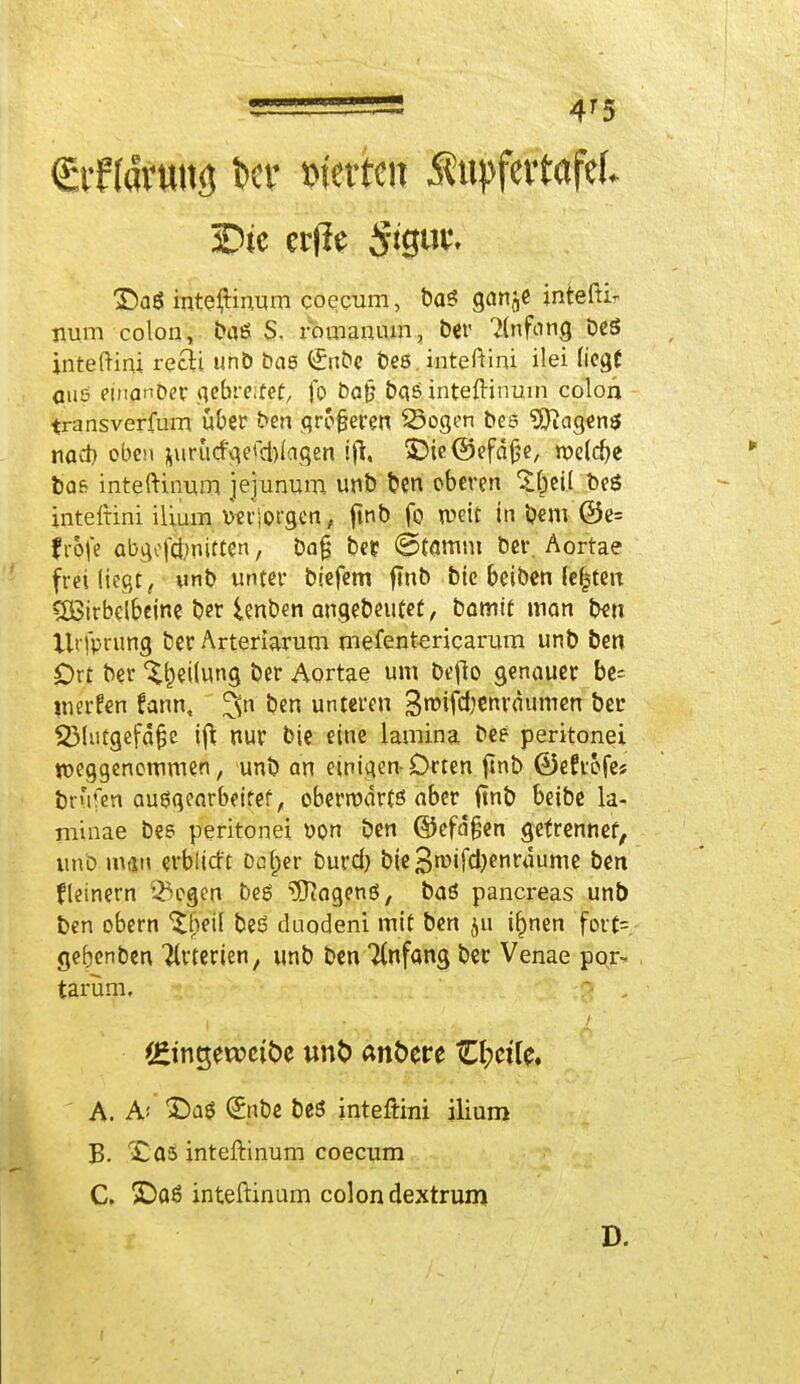 gtf (dvuitö Der Herten ÄupfertafeL 3Die er(Ie §tgu^ £)a6 inteftinum coccum, ba$ gan^e inteftir num colon, baß S. romanum, ber Anfang Deö inteftini reck unb t>ae (£nbe bes. inteftini ilei liegt aus etnanDer gebretfef, fo bat? bq£ inteftinum colon transverfam uOec ben größeren Sogen bes ^fragen* noeb oben jura<föcfd)(qgen ift, ©ieÖefdße, meldje bafi inteftinum jejunum unb ben oberen $|eü beö inteftini ilium ytrjorgcn, ftnb fo tueit in bem ©e= frofe abgefcfete'n, bog ber (Stamm ber. Aortae frei liegt, unb unter biefem ftnb bie fceiben (efjteu £Birbel6eine ber lenben angebeutet, bamif man b«n Xlrfprung &er Arteriarum mefentericarum unb ben Ort ber Teilung ber Aortae um beflo genauer be- merken fann, jfc t>en unteren $rc>ifd)enrdumen ber SMutgefäjjc ift nur bie eine lamina bee peritonei weggenommen, unb an einigen Orten ftnb ©efrofe« brufert ausgearbeitet, oberrodrtß aber ftnb beibe la- minae bes peritonei öon ben ©efdfjen getrennef, unb man erblitft Deiner burd) bie3rcifd)enrdume ben fleinern ^egen be6 Wagens, baß pancreas unb ben obern %()(U beß daodeni mit ben ju ifmen fort=. gebenben Arterien, unb ben Ttnfang ber Venae pqr- tarüm. (£intt,ewetöe unt> anöere £fyctfe, A. A* £)aß (Enbe beß inteftini ilium B. Xas inteftinum coecum C. £>aß inteftinum colon dextrum D.