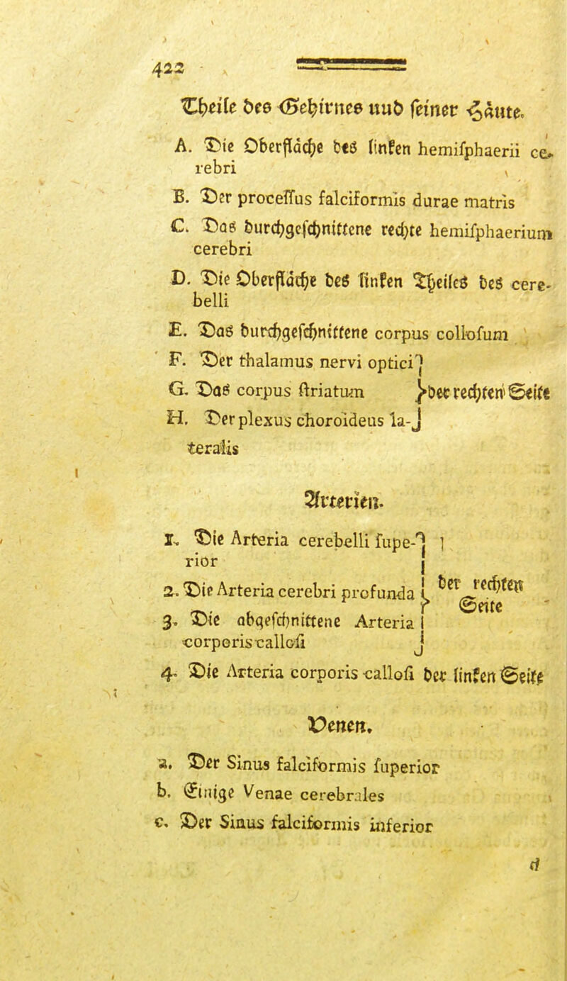 ICkeite öee (Büntes imt> fetner 4«ute* A. Die Oberfläche btö tinfen hemifphaerii co rebri , B. Der proceflus falciformis durae matris C. Dag eurd?gefct)nittene rechte hemifphaerium cerebri D. Die Oberfläche beö Rnfen Sbeüeö beS cere- belli E. Das burcfygefcfjmfrene corpus colfomm F. Der thalamus nervi optici'} G. Das corpus ftriatum ]»Dec red^eri» ©ei(e H. Derplexus choroideus la-J terafis I. Die Arteria cerebelli fupe-T | rior 2. Die Arteria cerebri profunda 1, 3. Die abqefcbnitteiie Arteria I ■corporis callo-ft J 4. Die Arteria corporis •callofi &e* {infett ©eife üenett, a. Der Sinus falciformis fuperior b. ©nige Venae cerebrales c. Der Sinus falciformis inferior