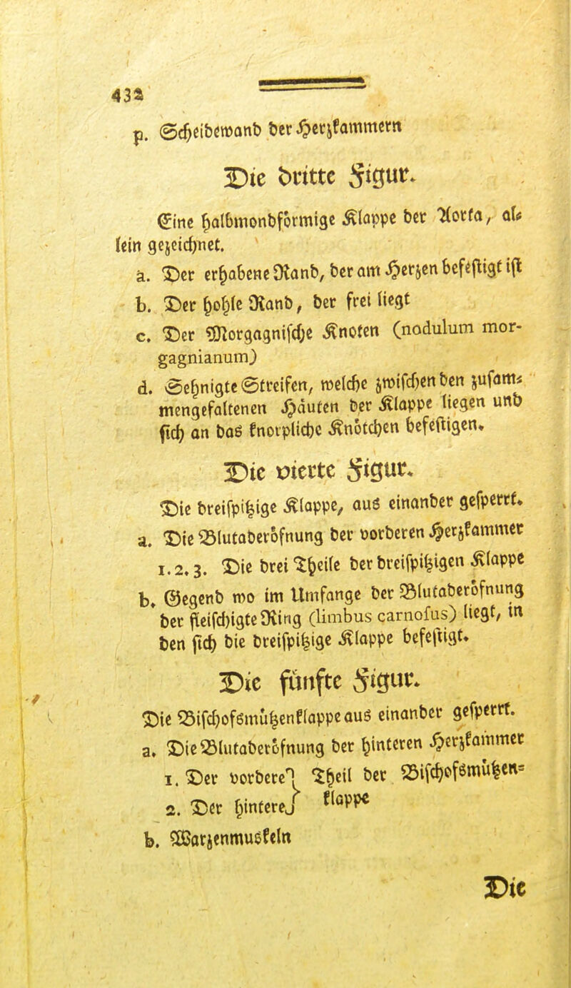 p. ©djetbewanb ber^erifammem Die fcritte Stgut- @ine fjalbmonbformige klappe ber Korf«, aU Um gejcic^nec. ä. Der erhabene 9lan&, bcr am ^erjen befefligt ifl b. Der fcofcleüianb, bet frei liegt c. Der Sttorgagnifd)e knoten (nadulum mor- gagnianum) d. «Sefmigtc Streifen, welcfie jtüif^nbcn jufam* mengefaltenen Raufen ber klappe liegen unb ftd) an baö fnoiplidjc ßnotdjen befeftigen. Die breifpi^ige ßlappe, aus einanber gefperrt. a. Die 23lutaöetofnung ber »orberen «ftetjf ammet i.2.3. Die brei S&eile ber breifpifcigen ßlappe b, ©egenb roo im Umfange ber »lutaberofnmtg ber fteifd)igtefting (limbus carnofus) liegt/ m ben jtd) bie breifpi^ige klappe befefugt. Die fünfte #gur. Die S5ifd)of6mu|cnf läppe aus einanber gefperrf. a. Die25lutaberofnung ber Hinteren £erjfammer i. Der mt>m\ 5§eU ber 23ifd}ofömü|en= s. Der fcinterej fl<W* b. seßarjenmusfeto Die