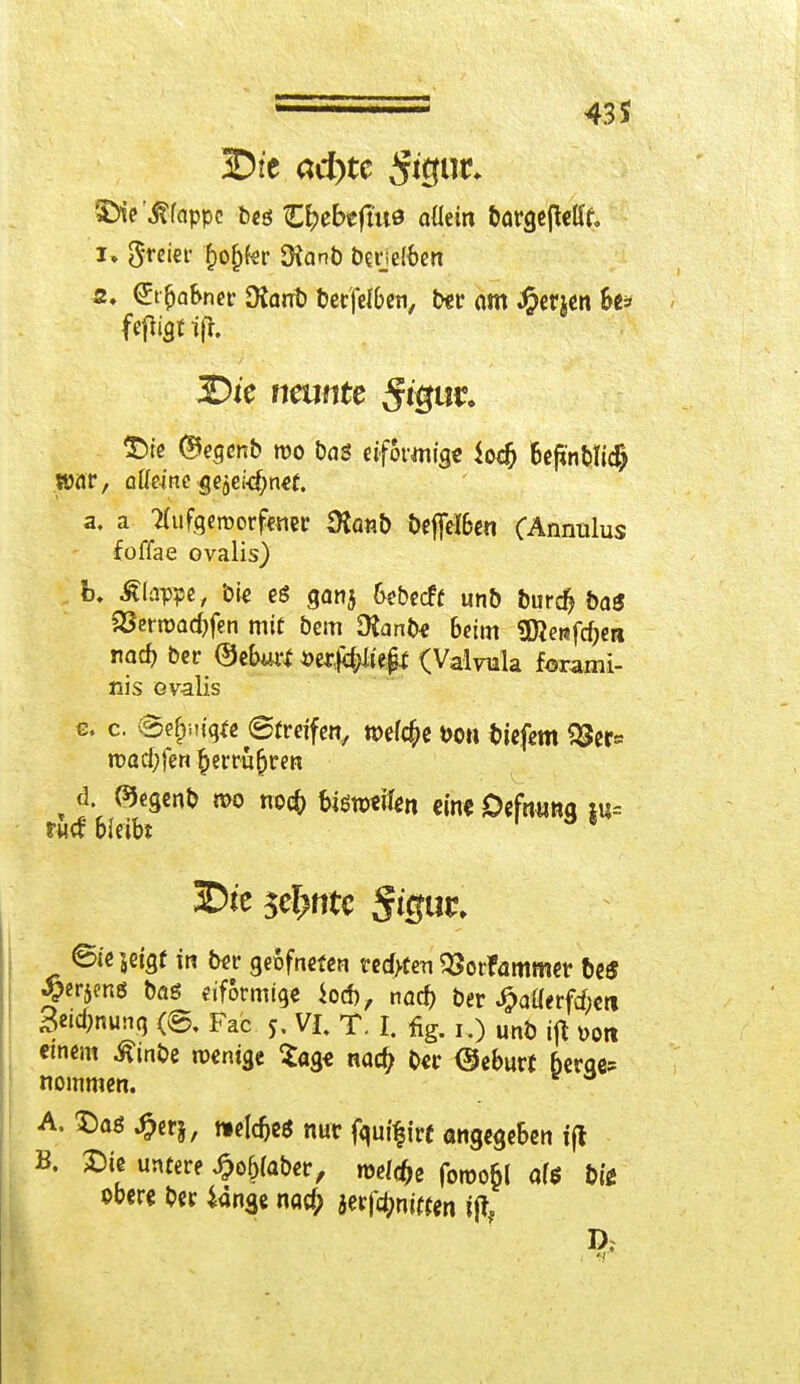 Dfe ad)te 3igw* SDie'Ä-fappc beö Ztybtfiws aüein bargejMf. i» grciet- f)oj)fer Ütonb b«je(ben s. ^tfjabner Dfant) berfelben, b«r am $erjen ht* jDie neunte 5^«^ £>ie ©egcnb roo bas «förmig« iocfc 6efmbu'$ «ar, atfeine gejeHfjnef. a. a Aufgeworfener Üfcmb bejfelben CAnnulus foffae ovalis) b. klappe, bi« eS ganj 6ebecft unb burd? baS 23errcad)fen mit bem Dfcmb« beim Sföeafdjen nad) bcr ©eburl aer#;li'e{3.c (Valvula forami- nis ovalis e. c. @e§mgfe ©frrifen, n>ef$e t>on tiefem SSer« tt>acf;fen £erra()ren d. ®egenb mo nocfc tiowifer, «in« Defnung ju= sw bleibt 3Dte sehnte Stguc, ©ie jeigf in b«r geofneten tedtfen SSorfammer be$ ^erjenö baö «förmige ioefc, naef) ber J&aflerfAeti 3«4nung <©, Fac 5. VI. T. I. % 1.) unb ift Don emem ßinbe roentge Sag« nac£ ber ©eburf berae* noinmen. 0 A. Daö^erj, »eföe* nur fguifirf angegeben i(l B. X)ie untere £oj)(aber, rodele fott>o(jl af* bi* obere ber iange nad; jerfänitten ift.