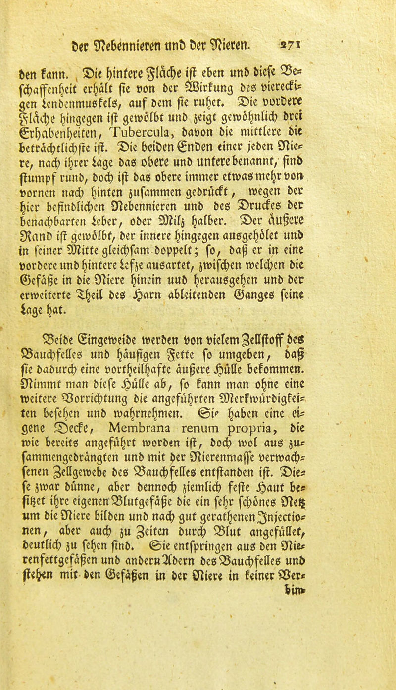 ben tarn. j S>ie Jjinfere gleite ift eben unb tiefe 95e« fcbajfcnfjeif er&ält fic uon ber SBirfung beg mereefi* gen ienbenmutfefe, auf bem fic ru£er, £)ie üorDere §-Idd>c hingegen ift $mttbt unb jeigt gcwöfmlicb Drei €rbabenbetten, Tubercula, batton bie mittlere bic betrdcbtlicbfte iff. £>ie betDen £nt)en einer jeben Nie* re, nacb t^rcr *age bag obere unb untere benannt, ftnb ftumpf rünb, boeb i(t bag obere immer etwagmetyrttot* dornen nacb hinten jufammen gebrüeft, wegen ber §tcr bcfntblidbcn Nebennieren unb beg ©ruefes ber benachbarten *eber, ober 9ttilj falber, ©er äufjere SXanD iff gewölbt, ber innere hingegen augge^ölet unb in feiner Äitte gleicbfam boppett; fo, baf er in eine ttorbere unb (untere Icfje ausartet, jwtfcben welchen bie ©efäfe in bie Öftere hinein uub ^erauggefjen unb ber erweiterte ^eil beg £arn ableitenben ©angeg feine *age fcat. SSeibe ©ngewetbe werben tton Bietern ^ellftoff be« &au$fe(le* unb ^auftgen $effe fo umgeben, ba£ jte babureb eine ttorfjjeilbaffe aufere Jpüfle bekommen. Stimmt man biefe JpMe ab, fo fann man o£ne eine weitere SÖorricbtung bie angeführten SMerfwürbigfei? ten befef)en unb wa^rnc^men. ©io §aben eine ei? gene £Decfe, Membrana renum propria, bie wie bereitg angeführt worben ijt, boeb wol aug ju* fammengebrängfen unb mit ber Nierenmaflfe tterwacb* jenen Zellgewebe beg S5aucbfellcg entlauben ift. 3)ie* je swar bünne, aber bennoeb jiemlicb fejte $aut bes ft^ef ifcrc eigenenBlutgefäße bie ein fe^r feböneg Ne$ um bie Niere bilben unb nacb gut geratenen^njectio* «en, aber aueb 5u Reifen bureb 25lut angefütlef, beutltcb ju fefjen ftnb. ©ie enffpringen aug ben Nie* renfettgefäfjen unb anber«2(bem beg33aucbfefleg unb ffefren mit ben (Seifen in ber Niere in feiner SBer*