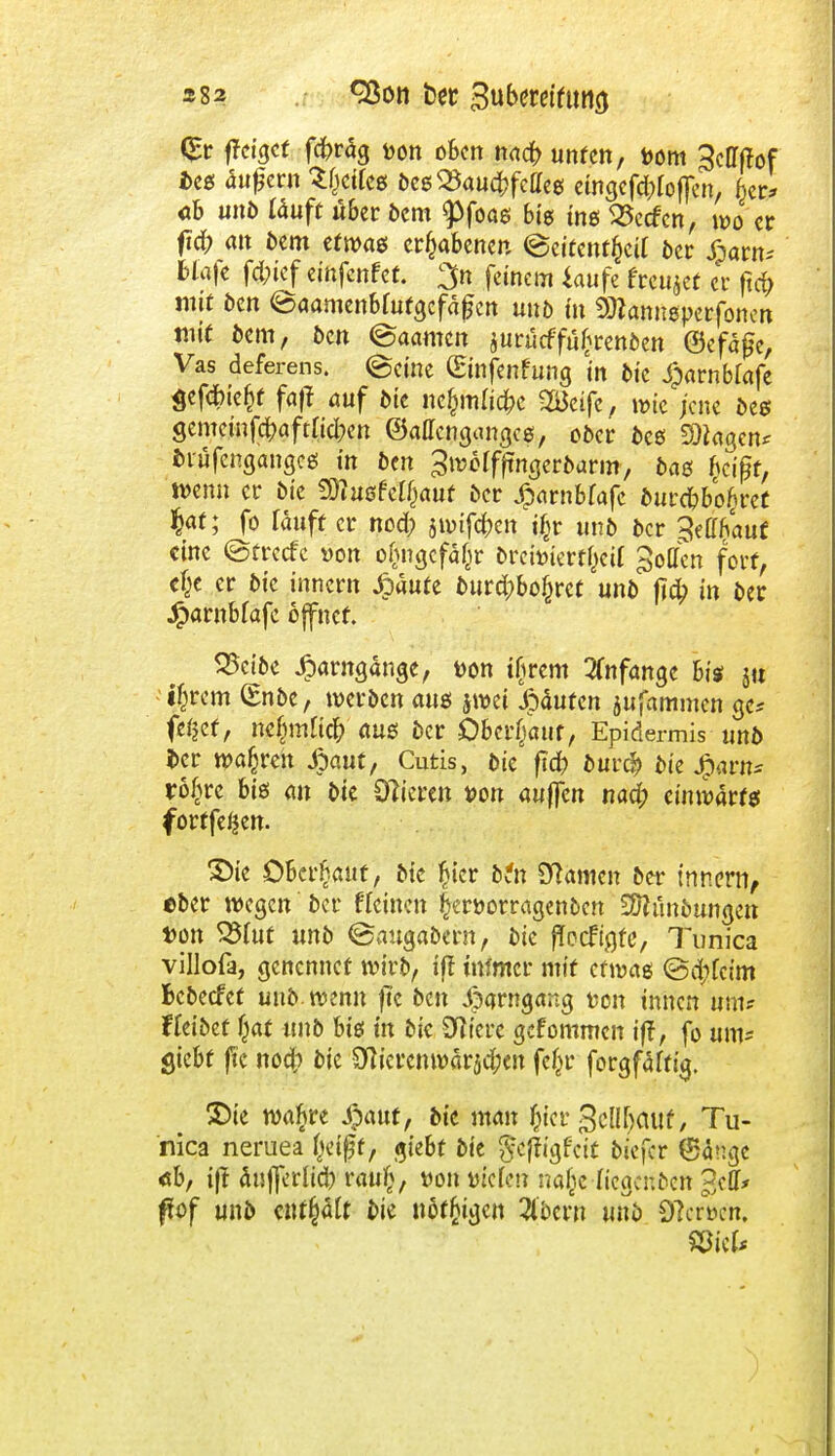 <$r ffcigcf fcfrräg Don oben n<id> unten, toom Bcttfiof Des äußern $&ctfeg begQkucfcfcaeg eingetroffen, kr* «b unb tauft über bem <Pfoag big ins ^eefen, wo er fid; an bem etwag erhabenen ©eitentfjcit ber £arn; blaje fefrief efofenfet. 3n feinem iaufe freujet er ftcfr mit ben ©aamenbforgcfäjjen unb in Sttamieperfonen mit bem, öcn ©aarnen aurücffü£renben ©efafe, Vas deferens. (Seine (Sfofenfung in bie ^arnbrafe $ef<&iefcf faft auf bie Mfjmlifyc SBeife, wie jene beg gemefofc&aftlföen ©affengangeg, ober beg SDkgcn* biufengangcg in ben %wetffinQetbatmf bag beißt, wenn er bie SO?ugfel()<mt ber Spatnbhfc burc&bofjret §at; fo läuft er nod; jiDifd)en $t unb ber ^effnauf «ine ©crccfc »on o&ngcfä(jr bre&ietfpi ^oOen fort, efje er bie innern jpaute burd;bo§ret unb j?# in ber Jparnbfafe offner. 25cibe Jpamgänge, von iijrem Anfange big ju if)rcm (£nbe, werben aug jwei Jpäutcn jufammen ge* fefcef, nefjmÜdMug ber Oberhaut, Epidermis unb i>er wahren ^jaut, Cutis, bie fid) buvä> bie Jparn* rößre big an bie Öfteren t>on «uflen nad; cinwartg fortfeßen. 3)ie Oberhaut, bie £icr btn tarnen ber tnnern, eber wegen ber Keinen fjeröorragenocn Sftünöungen »on S25fut unb ©augabern, bie fTocftßte, Tunica villoft, genennet wirb, iff mfmer mit erwäg @d;fcim Bcbecfct unb. wenn ftc ben Jpqrngang ton innen um? f leibet f}at unb big in bie 0?ierc gefommen iff, fo um* giebt f?c nod; bie $Hierenwärsd;cn fe£r forgfäftig. £)ie wabre $6\tt, bie man Jfet geflfjattt, Tu- nica neruea (jeißt, giebf bie gcjtigfat biefer ©ange «b, ift äufferlid) rau£, von tuefe» nafjcliegenden ?,cff* fltof unb enthält bie nötigen Sfbern unb Qtocn. mu