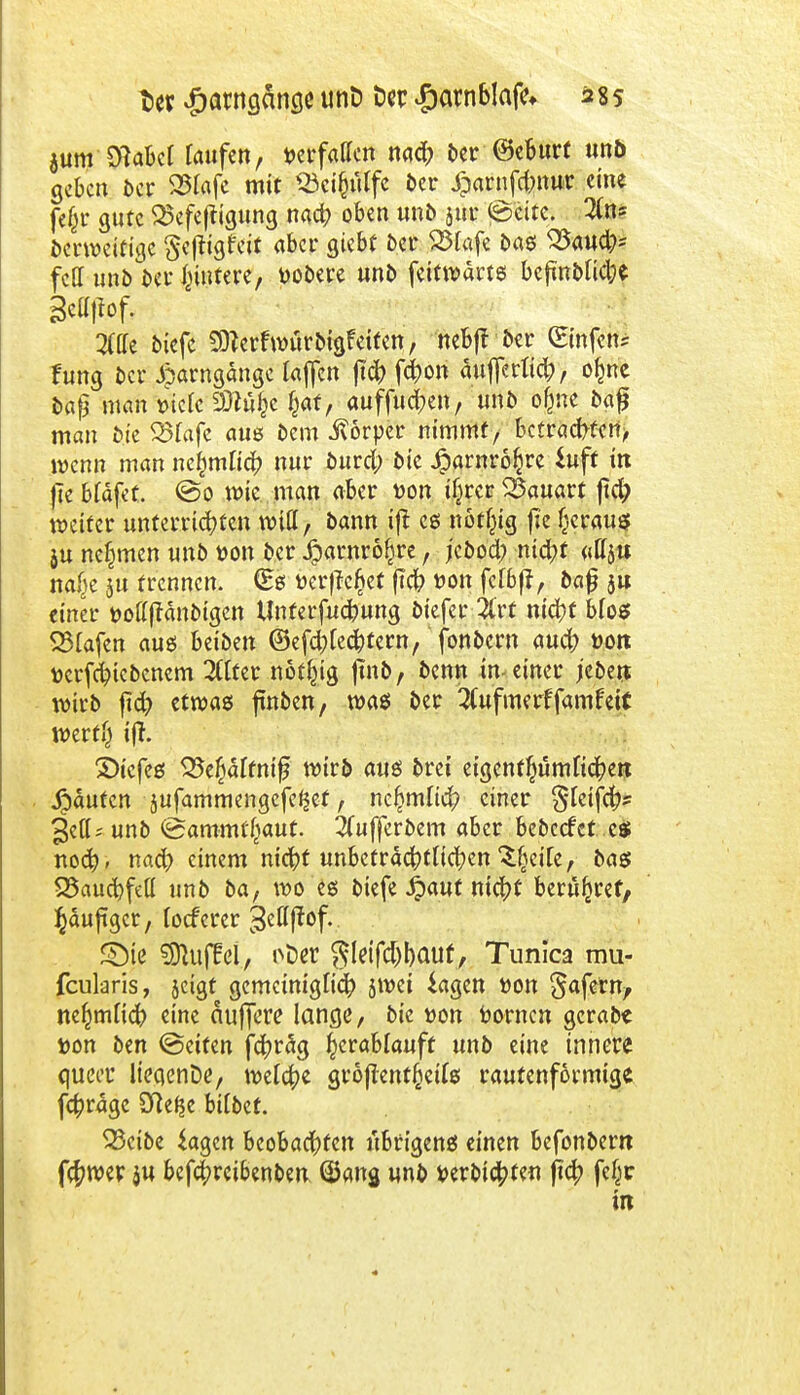 t>et £arnsänö<! unD tw Jparnblafe* 28s jum'SHabd taufen, t>erfatfcn nach ber ©eburf unO geben der 251afc mit ©eigiflfe ber Jparnfdmur eine fefcr gute 25efeftigung nach oben unb jur ©ettc. 2(ns berweitige Sejtigfcit aber giebf ber 23Cafe bas S&aufa fett unb ber Wintere, »obere unb feitwärts bcfmblid;* mm 2Cffc tiefe SOtcrfwurbigfeiten, nebft ber (Einfette ftmg ber £arngänge lajfcn jtd) fchon äufferftd;, o&ne bap man wete sÄ£c §at, aufluden, unb ofme bafj man bie SSfafe aus bem ivorper nimmt, betrachten, wenn man neulich nur burd; bie jparnröljre iuft in fie bfäfet. @o wie man aber uon ifjrcr Bauart ftd; weiter unterrichten will, bann ijt es nöt^ig ftc heraus» ju nehmen unb von ber Jirnrnrö^re, jebod; nicht «dju nafje ju trennen. (Es »erficht (ich t>on fcfbft, ba£ ja einer üotfftänbigen tfnferfuchung biefer %xt nicht Mos SStafen aus beiben ©efd;lechtern, fonbern aud; »ort tjcrfchicbenem 2(tfer nöt^ig jtnb, benn in einer jeben; wirb ftd) etwas ftnben, was ber ^ufmerffamfeic wert'} ijf. 3)icfes ^e^älfnifj wirb aus brei eigenf^umfichen Raufen jufammengefe^et, nc^mlich einer gteifeh* 3etU unb (Sammt^aut. 2(ufferbem aber bebcefet es noch» uad? einem nicht unbeträchtlichen ^eife, bas SSauchfett unb ba, wo es biefe £aut nicht berühret, $au jtget, locfercr ^eflfJef.. SMe SDUijlel, i>Der $letfd)bauf, Tunica mu- fcularis, jeigt gemeiniglich jwei lagen üon 5afernr nefjmlich eine auffere lange, bie uon bornen gcrabe Don ben (Seifen fchräg tytahlauft unb eine innere queiT lieqenDe, welche großenteils rautenförmige fc&ragc STle^e btlbet. SBcibe iagen beobachten übrigens einen befonbem f#wer ju befchreibenben (Sang unb »erbieten (ich fc^c in