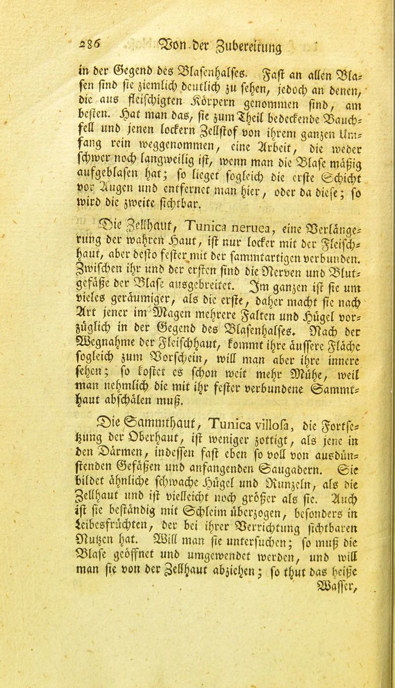 5 85 SBon.fcet guberotuna in ber ©egenb bes <3rafen£affeg. gaff an aKen SMa* fen fint) fie wmlid) beutüä) hu fefccn, /c&oct? <m tonen, btc aus ffcif^igfen Körpern genommen ftnb, am befielt. £af man bas, fie jumS&eit bebcefenbe <8aucfc fett unb jenen foefern Settffofüon tgrem ganjen Um* fang rem weggenommen, eine Arbeit, bie weber f#»cr no# rangweitig iff, wenn man bie 23lafc mafii'q aufgebfafeu $at; fo Heget fogfeic^ bie erfte <&$&jt »oi- «äugen ttnb entfernet man fytx, ober ba biefei fo wirb bie jweite fld;tbar. ®it'$Miipt, Tunica neruea, eine Verfange* rung ber wahren £auf, tff nur foefer mit ber Sfcifd;* |auf, aber beffo fefter mit ber fammtartigen verbunben. ^wtfdxn % unb ber erfreu ftnb bie merken unb S3luf* gefäge ber SSCafe ausgebreitet, 3m ganzen ift ftc um »teies geräumiger, a(g bie erffe, bafjer maefrf ftc naefr %vt jener im Ziagen mehrere galten unb £ügel t>or* jügltdt» in ber ©egenb bes Sfofen&affe*, Stta* ber SS3egnafjme ber Skilauf, fommt t§re dufferc 3(äd?c fogleicfr sum 2$orfd;em, »tff man aber ifjrc innere fejjcn; fo foflcf es fefcon weif mefcr Sttufje, weit man nefcmficfr bie mit iljr feffer »erbunöene ©ammf* $aut abfc^alen mufj. ©ie©ammfljauf, Tunica villofa, bie $orffe* gimg ber Oberlauf, if* weniger goffigt, als jene in ben ©armen, tnbeffen faft eben fo »oll »on auebün* ftenben ©efafjen unb anfangenben ©augabern. (Sie fctfbet ajmhcfce fcfrwacfre Xpugcf unb Üvunjcfn, ate tue ^eti^aut unb tff tneffcfc&f no<$ großer ate fie. 2tud? jff fte Beftanbig mit ©c^feim uBcrjogen, befonbers in icibee;fnid;tcit, ber bei i£rer Verrichtung lieferbaren Cfluljcn fcat. SSM man fie unferfudKn; fo muß bie S3lafc geöffnet unb umgewenbef werben, unb will man fie t»on ber 3c^aut abjiefjen; fo t\}wt baes beige SBafler,