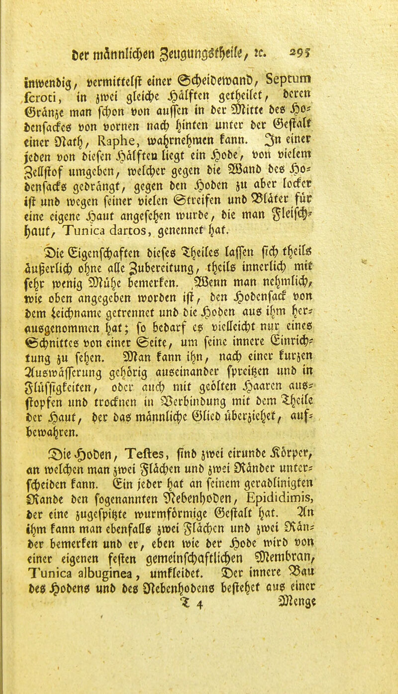 Der männltdjen gatstw^etfe, *c. 29? inwenbig, »ermiffelft einer ©<#etDeroan&, Septum feroti, in jwei gleite Rafften geleitet, Deren ©ränje man fefcon »on auffen in ber SOZifte free; £0* tenfaefeg t>on »ornen nad? Junten unter ber (Beftalt einer Dtarlj, Raphe, wafcrnefcraen fann. ^n einer jebm öon biefen £ätfteu liegt ein £obe, von triclem ^effftof umgeben, welcher gegen bie 2öanb beg £o* benfaefg gebrängf, gegen ben £obcn ju aber locfcr iff unb wegen feiner triefen ©freifen unb Später für eine eigene ßaut angefeilt würbe, bie man gleifcf)* tyauf, Tunica dartos, genennet ^af. Sie (Sigenfd^aften biefeg lljeifcg laflen ft# tfy'xU bufaliü) o^ne alle Zubereitung, tfcctfg innerli^) mit fefcr wenig 9ftü£e bemerfen. 2Benn man ne^mli^, wie oben angegeben worben ift, ben Jpobenfacf »on bem Jeicfrname gefrennet unb bie Jpoben aug i§m £cr* «tuggenommen fyat; fo bebarf eg üiclleic^t nur eines ©cfcmttes ton einer ©eite, um feine innere (Einriß lung ju feigen. 5D?an fann tfcn, naä) einer furjen 2Cuswäf[crung geborig augeinanber fprei^en unb in gutfjigfetfen, ober and) mit geöften paaren anes* (topfen unb troefnen in SSerbinbung mit bem %i)tik fcer #aut, ber bag männliche ©Heb übersteht, auf* fcewa^ren. £)te «f)ot>en, Teftes, ftnb jwei eirunbe Körper, an wetzen man jwei gläcfcen unb jwei Dvänber unter* f^eiben fann. (Ein jeber §at an feinem gerabfintgten Stanbe ben fogenannten $ebenf)Ot)en, Epididimis, fcer eine jugefptljte wurmförmige (Seffatt jjat. 2fn iimt fann man ebenfaflg jwei gläefren unb jwei CRän* ber bemerfen unb er, eben wie ber Jjbobe wirb t>on einer eigenen feften gemeinfcfyaftltdjen Membran, 1 unica albuginea, umfleibef. £)er innere S5au beg £obeng unb beg Sfteben^obeng befielet oug einer Z 4 Spenge