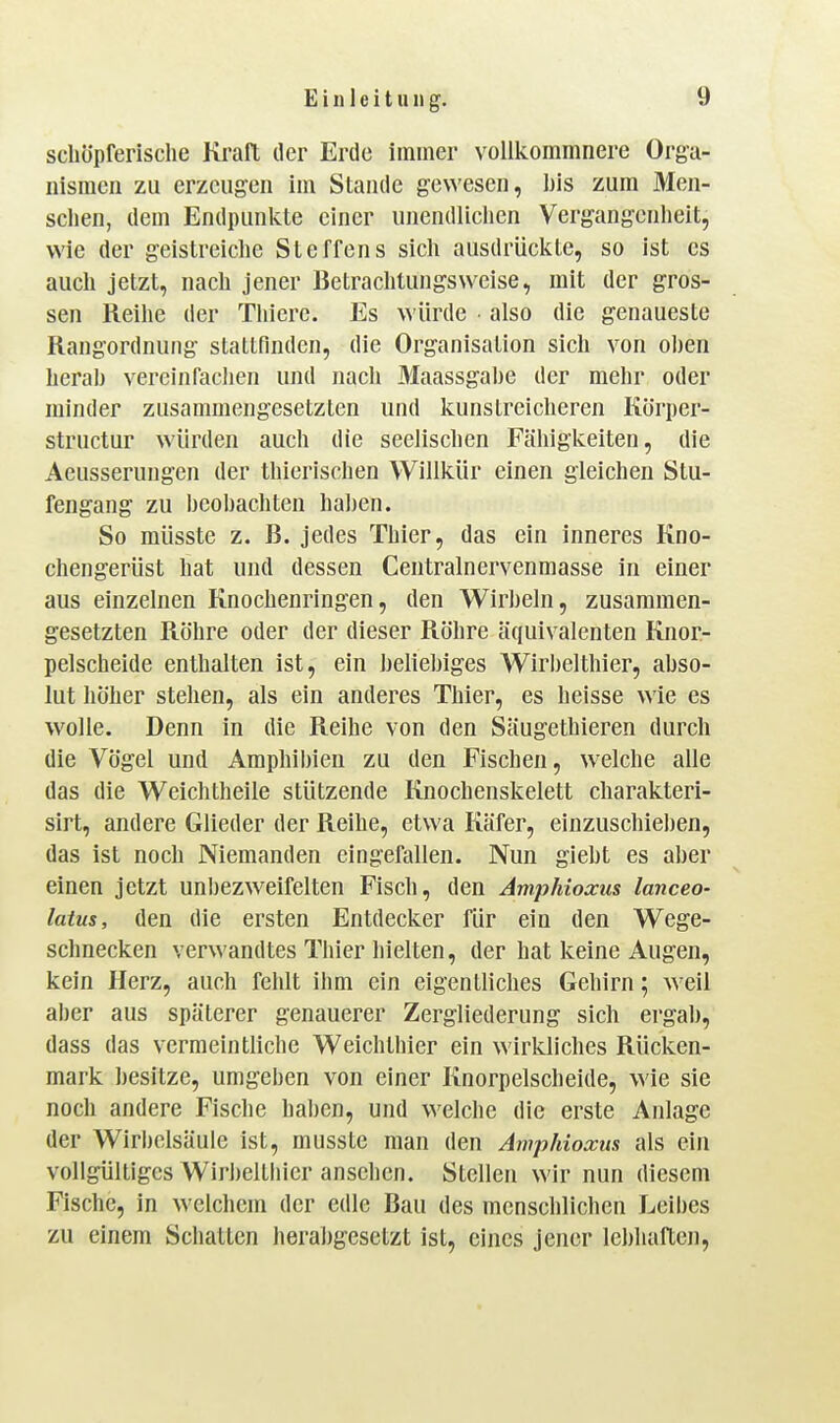 scliöpferisclie Kraft iler Erde immer volikommnere Orga- iiisnicii zu erzeugen im Staiuie gewesen, l)is zum Men- sclien, dem Endpunkte einer unendliclien Vergangenlieit, wie der geistreiche Steffens sicli ausdrückte, so ist es auch jetzt, nach jener Betrachtungsweise, mit der gros- sen Reihe der Tliiere. Es würde • also die genaueste Rangordnung stattfinden, die Organisation sich von ohen herab vercinfaclien und nach 3Iaassgahe der mehr oder minder zusammengesetzten und kunstreicheren Körper- structur würden auch die seelischen Fähigkeiten, die Aeusserungen der thierischen Willkür einen gleichen Stu- fengang zu beobachten haben. So müsste z. B. jedes Thier, das ein inneres Kno- chengerüst hat und dessen Centralnervenmasse in einer aus einzelnen Knochenringen, den Wirbeln, zusammen- gesetzten Röhre oder der dieser Röhre äquivalenten Knor- pelscheide enthalten ist, ein beliebiges Wirbelthier, abso- lut höher stehen, als ein anderes Thier, es heisse wie es wolle. Denn in die Reihe von den Säugethieren durch die Vögel und Amphibien zu den Fischen, welche alle das die Weichtheile stützende Knochenskelett charakteri- sirt, andere Glieder der Reihe, etwa Käfer, einzuschieben, das ist noch Niemanden eingefallen. Nun giebt es aber einen jetzt unljezweifelten Fisch, den Amphioxus lanceo- latus, den die ersten Entdecker für ein den Wege- schnecken verwandtes Thier hielten, der hat keine Augen, kein Herz, auch fehlt ihm ein eigentliches Gehirn; weil aber aus späterer genauerer Zergliederung sich ergab, dass das vermeintliche Weichthier ein wirkliches Rücken- mark besitze, umgeben von einer Knorpelscheide, wie sie noch andere Fische haben, und welche die erste Anlage der Wirbelsäule ist, musste man den Aivphioxus als ein vollgültiges Wirbelthier ansehen. Stellen wir nun diesem Fische, in welchem der edle Bau des menschlichen Leibes zu einem Schatten herabgesetzt ist, eines jener lebhaften.