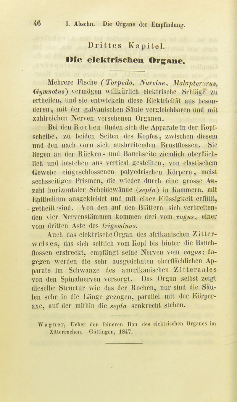 Drittes Kapitel. Die elektrischen Org^ane, Mehrere Fische (Torpedo, Narcine, Malapter-irus, Gymrtotus) vermögen willkürlich elektrische Schläge zu ertheilen, und sie entwickeln diese Elektricilüt aus beson- deren , mit der galvanischen Säule vergleichbaren und mit zahlreichen Nerven versehenen Organen. Bei den Rochen finden sich die Apparatein der Kopf- scheibe, zu beiden Seiten des Kopfes, zwischen diesem und den nach vorn sich ausbreitenden Brustflossen. Sie liegen an der Rücken- und Bauchseite ziemlich oberfläch- lich und bestehen aus vertical gestellten, von elastischem Gewebe eingeschlossenen polyedrischen Körpern, raeist sechsseitigen Prismen, die wieder durch eine grosse An- zahl horizontaler Scheidewände (septa) in Kammern, mit Epithelium ausgekleidet und mit einer Flüssigkeit erfüllt, getheilt -sind. Von den auf den Blättern sich verbreiten- den vier Nervenstämmen kommen drei vom vagus, einer vom dritten Aste des trigeminus. Auch das elektrische Organ des afrikanischen Zitter- welses, das sich seitlich vom Kopf bis hinter die Bauch- flossen erstreckt, empfängt seine Nerven vom vagus; da- gegen werden die sehr ausgedehnten oberflächlichen Ap- parate im Schwänze des amerikanischen Zitteraales von den Spinalnerven versorgt. Das Organ selbst zeigt dieselbe Strnctur wie das der Rochen, nur sind die Säu- len sehr in die Länge gezogen, parallel mit der Körper- axe, auf der mithin die septa senkrecht stehen. Wagner, Uebcr den feineren Bau des elektrischen Organes im Zitterrochen. Götlingcn, 1847.