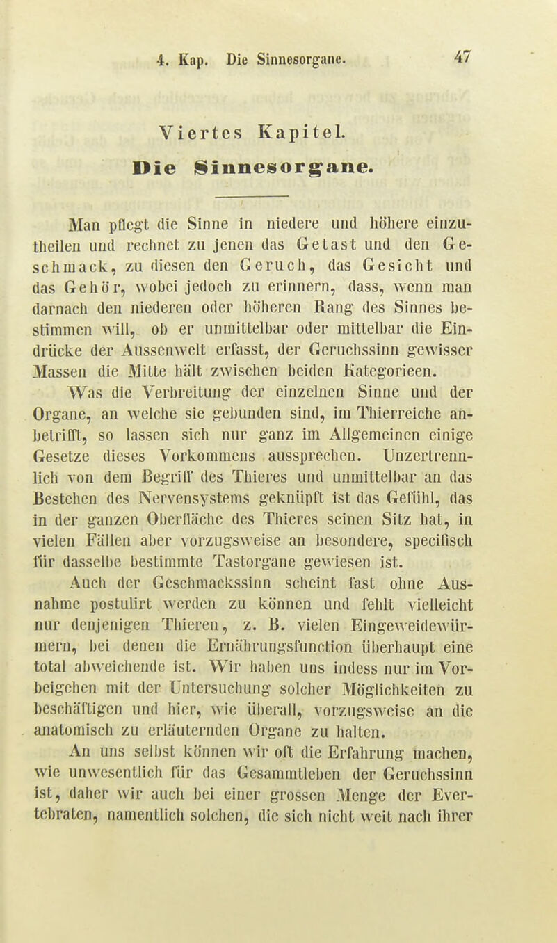 Viertes Kapitel. Die j§innesiorgane. Man pflegt die Sinne in niedere und liöhere einzu- tlieilen und reclmet zu jenen das Getast und den Ge- schmack, zu diesen den Gerucli, das Gesicht und das Gehör, wobei jedoch zu erinnern, dass, wenn man darnacli den niederen oder liöhercn Rang des Sinnes be- stimmen will, ob er unmittelbar oder mittelbar die Ein- drücke der Aussenwelt erfasst, der Geruchssinn gewisser Massen die Mitte hält zwischen beiden Kategorieen. Was die Verbreitung der einzelnen Sinne und der Organe, an welche sie gebunden sind, im Thierreiche an- hetrlETt, so lassen sich nur ganz im Allgemeinen einige Gesetze dieses Vorkommens aussprechen. Unzertrenn- lich von dem BegrifF des Thieres und unmittelbar an das Bestehen des Nervensystems geknüpft ist das Gefühl, das in der ganzen Oberfläche des Thieres seinen Sitz hat, in vielen Fällen aber vorzugsweise an besondere, specilisch für dassell)e bestimmte Tastorganc gewiesen ist. Auch der Geschmackssinn scheint fast ohne Aus- nahme postulirt werden zu können und fehlt vielleicht nur denjenigen Thieren, z. B. vielen Eingeweidewür- mern, bei denen die Ernäbrungsfunction ül)erhaupt eine total abweichende ist. Wir haben uns indess nur im Vor- beigehen mit der Untersuchung solcher Möglichkeiten zu hcschäftigcn und hier, wie überall, vorzugsweise an die anatomisch zu erläuternden Organe zu halten. An uns selbst köimen wir oft die Erfahrung machen, wie unwesentlich für das Gesammtieben der Geruchssinn ist, daher wir auch bei einer grossen Menge der Evcr- tebraten, namentlich solchen, die sich nicht weit nach ihrer