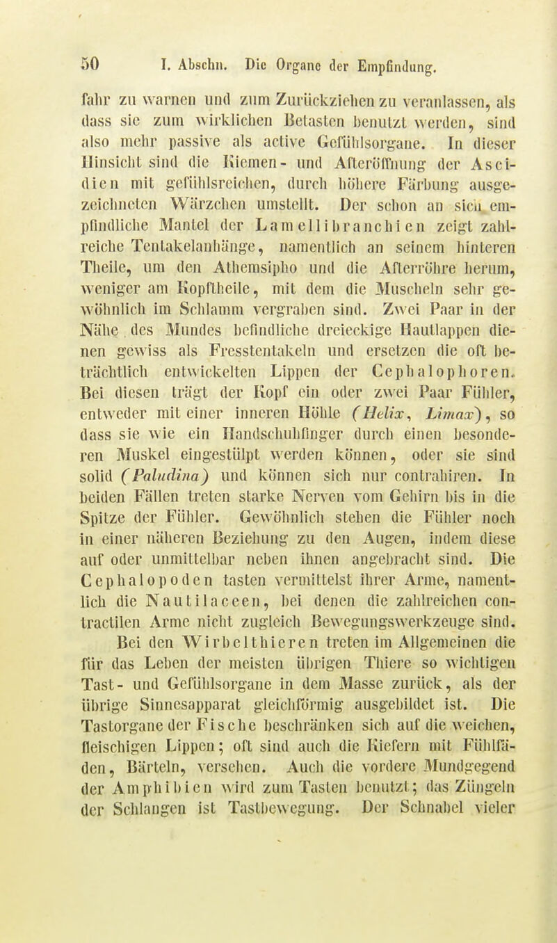 fahr zu warnen und zum Zurückziehen zu veranlassen, als (lass sie zum wirklichen Belasten benuLzl werden, sind also mehr passive als active Gefülilsorgane. In dieser Hinsicht sind die Kiemen- und Aftcröffnung der Asci- dien mit gefiihlsreiclien, durch höhere Färbung ausge- zcichnctcn Wärzchen umstellt. Der schon an sicu em- pflndliche Mantel der L a m e 1 II b r a n c h i e n zeigt zahl- reiche Tentakelanliänge, namentlich an seinem hinteren Theile, um den Athcmsipho und die ARerröhre herum, weniger am KopfÜieile, mit dem die Muscheln sehr ge- wöhnlich im Schlamm vergraben sind. Zwei P.iar in der Nähe des Mundes befindliche dreieckige Haullappen die- nen gewiss als Fresslentakeln und ersetzen die oft be- trächtlich entwickelten Lippen der Cephalophören. Bei diesen trägt der Kopf ein oder zwei Paar Fühler, entweder mit einer inneren Höhle (Helix, Liinax)^ so dass sie wie ein Handschuhfinger durch einen besonde- ren Muskel eingestülpt \^erden können, oder sie sind solid (Paludina) und können sich nur contrahiren. In heiden Fällen treten starke Nerven vom Gehirn l)is in die Spitze der Fühler. Gewöhnlich stehen die Fühler noch in einer näheren Beziehung zu den Augen, indem diese auf oder unmittelbar neben ihnen angebracht sind. Die Cephalopoden tasten vermittelst ihrer Arme, nament- lich die Nautilaceen, bei denen die zahlreichen con- tractilen Arme nicht zugleich Bewegungswerkzeuge sind. Bei den Wirbelthieren treten im Allgemeinen die für das Leben der meisten ül)rigen Thiere so wichtigen Tast- und GefUhlsorgane in dem Masse zurück, als der übrige Sinnesapparat gleichförmig ausgebildet ist. Die Tastorgane der Fische beschränken sich auf die weichen, fleischigen Lippen; oft sind auch die Kiefern mit Fühlfä- den, Bärteln, versehen. Auch die vordere J^Iundgegend der Amphibien wird zum Tasten benutzt; das Züngeln der Schlangen ist Tastbewegung. Der Schnabel vieler