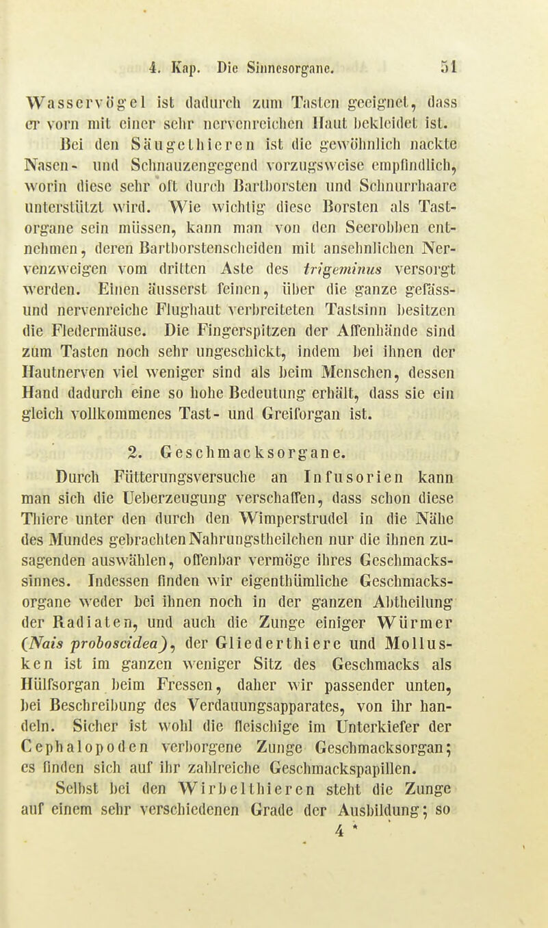 Wasscrvögel ist iladiircl» zum Tasten gceig'iicl, dass CT vorn mit einer sehr nervcnreiclicn Haut Ijekleidet ist. Bei den Säugctlileren ist die gewölinlicli nackte Nasen- und Sclinauzeng'cgend vorzugsweise empfindlicli, worin diese sehr oft durcli JJartborsten und Scluuirrliaare unterstützt wird. Wie wichtig diese Borsten als Tast- organe sein müssen, kann man von den Seerohhen ent- nehmen, deren Barthorstenscheiden mit ansehnlichen Ner- venzweigen vom dritten Aste des trigeminus versorgt werden. Einen äusserst feinen, üher die ganze gefäss- und nervenreiche Flughaut veri)reileten Tastsinn hesitzen die Fledermäuse. Die Fingerspitzen der AfTenhände sind zum Tasten noch sehr ungeschickt, indem hei ihnen der Hautnerven viel weniger sind als heim Menschen, dessen Hand dadurch eine so hohe Bedeutung erhält, dass sie ein gleich vollkommenes Tast- und Greiforgan ist. 2. Geschmacksorgane. Durch Fütterungsversuche an Infusorien kann man sich die Ueherzeugung verschaffen, dass schon diese Tliiere unter den durch den Wimperstrudel in die Nähe des Mundes gehrachtenNahrungstheilchen nur die ihnen zu- sagenden auswählen, ofl'enhar vermöge ihres Geschmacks- sinnes. Indessen finden wir eigenthümliche Geschmacks- organe weder hei ihnen noch in der ganzen Ahtheilung der Radiaten, und auch die Zunge einiger Würmer (Nais proboscidea)^ der Gliederthiere und ÄIoUus- ken ist im ganzen weniger Sitz des Geschmacks als Hülfsorgan heim Fressen, daher wir passender unten, hei Beschreihung des Verdauungsapparates, von ihr han- deln. Sicher ist wohl die fleischige im Unterkiefer der Cephalopoden verhorgene Zunge Geschmaeksorgan; CS finden sich auf ihr zahlreiche Geschmackspapillen. Seihst hei den Wirhelthieren steht die Zunge auf einem sehr verschiedenen Grade der Aushildung; so 4 *