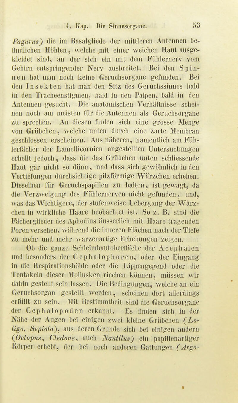 Pagnrus) die im Basalslieilc der mittleren Antennen he- flndliclien Höhlen, welehe mit einer weichen Haut ausge- kleidet sind, an der sich ein mit dem Fiiiilernerv vom Gehirn entspringender Nerv ausbreitet. Bei den Spin- nen hat man noch keine Geruchsorgane gefunden. Bei den Insekten hat man den Sitz des Geruchssinnes haUl in den Tracheensligmen, ])ald in den Palpen, bald in den Antennen gesucht. Die anatomischen Verhältnisse schei- nen noch am meisten für die Antennen als Gcruclisorgane zu sprechen. An diesen fuiden sich eine grosse Menge von Grübchen, welche unten durch eine zarte Membran geschlossen erscheinen. Aus näheren, namentlich am Füh- lerrächcr der Lamellicornien angestellten Untersuchungen erhellt jedoch, dass die das Grübchen unten schliessende Haut gar nicht so dünn, und dass sich ge^^'öhnlich in den Vertiefimgen durchsichtige pilzförmige Wärzchen erheben. Dieselben für Geruchspapillen zu halten, ist gewagt, da die Verzweigung des Fühlernerven nicht gefunden, und, was das Wichtigere, der stufenweise Uebergang der Wärz- chen in wirkliche Haare beobachtet ist. So z. B. sind die Fächerglieder des Aphodius äusserlicli mit Haare tragenden Poren versehen, während die inneren Flächen nach der Tiefe zu mehr und mehr warzenartige Erhebujigcn zeigen. Ob die ganze Schleimhautol)erlläclie der Acephalen und besonders der Cephalophoren, oder der Eingang in die Respirationshöhle oder die Lippengegend oder die Tentakeln dieser Mollusken riechen können, müssen wir dahin gestellt sein lassen. Die Bedingungen, welche an ein Geruchsorgan gestellt werden, scheinen dort allerdings erfüllt zu sein. Mit Bestimmtheit sind die Geruchsorgane der Cephalopoden erkannt. Es finden sich in der Nähe der Augen bei einigen zwei kleine Grübchen (Lo- ligo, Sepiola), aus deren Grunde sich bei einigen andern (Odopus^ Cledone^ auch Nautilus) ein papillenartiger Körper erhebt, der bei noch anderen Galtungen (Argo-