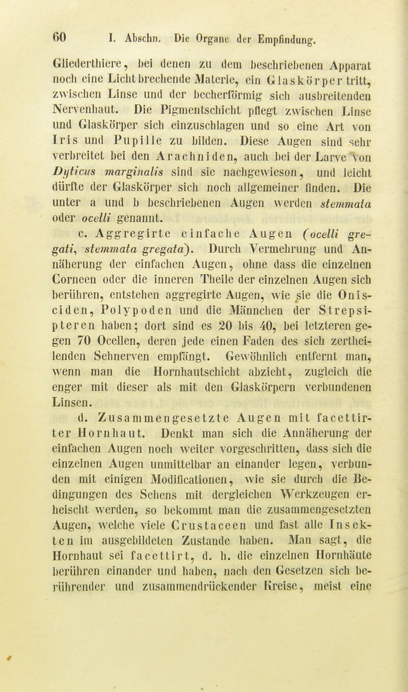 Gliedertliiere, bei denen zu dem J)escliriel)enen Apparat noch eine Liclitbrecliende x^lalcrie, ein Giaslcörper tritt, zwisclien Linse und der beciierffirmig sich ausbreitenden Nervenhaut. Die Pig:nientscliicht pflegt zwischen Linse und Giaslcörper sich einzuschlagen und so eine Art von Iris und Pupille zu bilden. Diese Augen sind sehr verbreitet bei den Arachniden, auch bei der Larve von Dyticm marginalis sind sie nacbgewieson, und leicht dürfte der Glaskörper sich noch allgemeiner finden. Die unter a und b beschriebenen Augen werden stemmata oder ocelli genannt. c. Aggregirte einfache Augen (ocelli gre- gati^ stemmata gregata). Durch Vermehrung und An- näherung der einfachen Augen, ohne dass die einzelnen Corneen oder die inneren Theile der einzelnen Augen sich berühren, entstehen aggregirte Augen, wie ^sie die Onis- ciden, Polypoden und die Männchen der Strepsi- pteren haben; dort sind es 20 bis 40, bei letzteren ge- gen 70 Ocellen, deren jede einen Faden des sich zerthei- lenden Sehnerven empfängt. Gewöhnlich entfernt man, wenn man die Hornhautschicht abzieht, zugleicli die enger mit dieser als mit den Glaskörpern verbundenen Linsen. d. Zusammengesetzte Augen mit facettir- ter Hornhaut. Denkt man sich die Annäherung der einfachen Augen noch weiter vorgeschritten, dass sich die einzelnen Augen unmittelbar an einander legen, verbun- den mit einigen Modificationen, wie sie durch die Be- dingungen des Sehens mit dergleichen Werkzeugen er- heischt werden, so bekommt man die zusammengesetzten Augen, welche viele Crustaceen und fast alle Insek- ten im ausgebildeten Zustande haben. Man sagt, die Hornhaut sei facettirt, d. h. die einzelnen Hornhäute berühren einander und haben, nach den Gesetzen sich be- rührender und zusammendrückender Kreise, meist eine