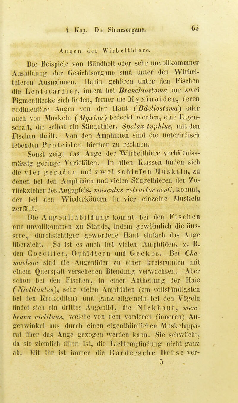 Augen der Wirbel tili ei-c. Die Beispiele von Blindlicit oder selir unvollkomnincr Ausljildung der Gesichtsorgane sind unter den Wirhel- tliiereii Ausnahmen. Dahin gehören unter den Fisclien die Leptocardier, indem hex BrancMostoma nur zwei Pigmcntdeclce sich finden, ferner die Myxinoiden, deren rudimentäre Augen von der Haut (Bdellostoma) oder auch von Musiceln (%xü/e> bedeckt werden, eine Eigen- schaft, die selbst ein Säugctliier, Spalax typhlus, mit den Fischen theilt. Von den Ampliibien sind die untcrirdiscii lebenden Proteiden hierher zu rechnen. Sonst zeigt das Auge der AVirbeltliiere verhältniss- mässig geringe Varietäten. In allen Klassen linden sich die vier geraden und zwei schiefen Muskeln, zu denen hei den Amphibien und vielen Säugethieren der Zu- rückzieher des Augapfels, musculus retrador ocuU, kommt, der l)ei den Wiederkäuern in, vier einzelne Muskeln zerrällt. Die Augenlidbildung kommt hei den Fischen nur unvollkommen zu Stande, indem gewöbnllch die äus- sere, durchsichtiger gewordene Haut einfach das Auge überzieht. So ist es auch bei vielen Amphibien, z. B. den Coecilien, Ophidiern und Geckos. Bei Cha- ?naeleon sind die Augenlider zu einer kreisrunden mit einem Querspalt verselienen Blendung verwachsen. Aber schon hei den Fischen, in einer Abiheilung der Haie (Nictitantes)^ sehr vielen Amphibien (am vollständigsten hei den Krokodilen) und ganz allgemein bei den Vögeln findet sich ein drittes Augenlid, die Nick haut, mem- hraria niclitnns^ welche von dem vorderen (inneren) Au- genwinkel aus durch einen eigenthiimlichen Muskelappa- rat über das Auge gezogen werden kann. Sie schwächt, da sie ziemlich dünn ist, die Lichtempfindung nicht ganz ah. Mit ihr ist immer die Hardersehe Drüse ver- 5