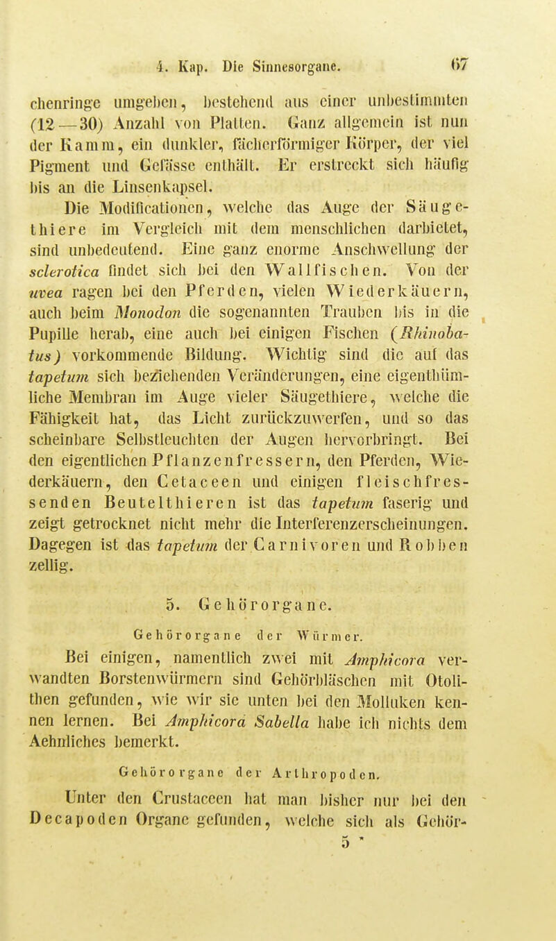 chenringe umgeben, i)estclieii(l aus einer uiibeslliniiiteii (12—30) Anzahl von Plalleii. Ganz allgemein ist, nun der Kamm, ein dunkler, räclierfiirmiger Körper, der viel Pigment und Gcla'ssc enlhäil. Er erstreckt sich häufig bis an die Linsenkapsel. Die Modificationcn, welche das Auge der Säuge- thiere im Vergleich mit dem menschlichen darbietet, sind unbedeutend. Eine ganz enorme Anschwellung der sclerotica findet sich bei den Wallfischen. Von der Uvea ragen bei den Pferden, vielen Wiederkäuern, auch l)eim Monodon die sogenannten Trauben bis in die Pupille herab, eine auch J)ei einigen Fischen {R/niioba- tus) vorkommende Bildung. Wichtig sind die auf das iapetion sich besfiehenden Veränderungen, eine eigenthüm- liche Membran Im Auge vieler Säugethiere, Avelche die Fähigkeit hat, das Licht zurückzuwerfen, und so das scheinbare Selbstleuchten der Augen hervorbringt. Bei den eigentlichen Pflanzenfressern, den Pferden, Wie- derkäuern, den Cetaceen und einigen fleischfres- senden Beute Ith leren ist das tapetnm faserig und zeigt getrocknet nicht mehr die Interferenzerscheinungen. Dagegen ist das tapetimi der Carnivoren und Robben zellig. 5. Gehörorgane. Gehörorgane der Wärme r. Bei einigen, namentlich zwei mit Ainphicora ver- wandten Borstenwiirmern sind Gehörbläschen mit Otoli- then gefunden, wie Avir sie unten bei den Molluken ken- nen lernen. Bei Jmphicora Sabella habe ich nichts dem Aehnliches bemerkt. Gehörorgane der Arthropoden, Unter den Crustaceen hat man bisher nur l)el den - Decapodcn Organe gefunden, welche sich als Gehör- 5 *