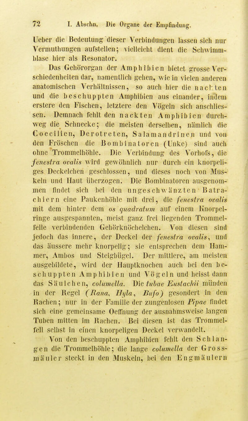 lieber die Bedeiiluiig- dieser Verbindungen lassen sich nur Vermutliungcn aufstellen; vielleicht dient die Schwimm- blase hier als Resonator. Das Gehörorgan der Amphibien bietet grosse Ver- schiedenheiten dar, namentlich gehen, wie in vielen anderen anatomischen Verhältnissen, so auch hier die nachten und die heschuppten Amphibien aus einander, indem erstere den Fischen, letztere den Vögeln sich anschlies- sen. Demnach fehlt den nackten Amphibien durch- weg die Schnecke; die meisten derselben, nämlich die Coecilien, Derotreten, Salamandrinen und von den Fröschen die Bombinatoren (Unke) sind auch ohne Trommelhöhle. Die Verbindung des Vorhofs, die fenestra ovalis wirA gewöhnlich nur durch ein knorpeli- ges Deckelchen geschlossen, und dieses noch von 3fus- keln und Haut überzogen. Die Borabinatoren ausgenom- men findet sich hei den ungeschwänzten Batra- chiern eine Paukenhöhle mit drei, die fenestra ovalis mit dem hinter dem os quadrabim auf einem Knorpel- ringe ausgespannten, meist ganz frei liegenden Trommel- felle verbindenden Gehörknöchelchen. Von diesen sind jedoch das innere, der Deckel der fenestra ovalis, und das äussere mehr knorpelig; sie entsprechen dem Ham- mer, Ambos und Steigbügel. Der mittlere, am meisten ausgebildete, wird der Hauptknochen auch hei den be- schuppten Amphibien und Vögeln und heisst dann das Säuichen, columclla. Die ttihae Eiistaclni münden in der Regel (Rana, IJi/la, Biifo) gesondert in den Rachen; nur in der Familie der zungenlosen Pipae findet sich eine gemeinsame Oelfnung der ausnahmsweise langen Tuben mitten im Rachen. Bei diesen ist das Trommel- fell selbst in einen knorpeligen Deckel verwandelt. Von den beschuppten Amphibien fehlt den Schlan- gen die Tronmielhöble; die lange columella der Gross- mäulcr steckt in den Muskeln, bei den Engmäulern