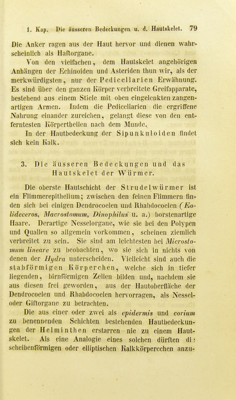Die Anker ragen aus der Haut hervor und dienen wahr- scheinlich als Haftorgane. Von den vielfachen, dem Hautskelet angehörigen Anhängen der Kchinoiden und Ästenden thun wir, als der merkwürdigsten, nur der Pedicellarien Erwähnung. Es sind über den ganzen Körper verbreitete Greifapparate, bestehend aus einem Stiele mit oben eingelenkten zangen- artigen Armen. Indem die Pedicellarien die ergriffene Nahrung einander zureichen, gelangt diese von den ent- ferntesten Körpertheilen nach dem Munde. In der Hautbedeckung der Sipunkuloiden findet sich kein Kalk. 3. Die äusseren Bedeckungen und das Hautskelet der Würmer. Die oberste Hautschicht der Strudelwürmer ist ein Flimmerepithelium; zwischen den feinen Flimmern fin- den sich hei einigen Dendrocoelen und Rhabdocoelen (Eo- lideeeros^ Macrostomum, Dinopkilus u. a.) borstenartige Haare. Derartige Nesselorganc, wie sie hei den Polypen und Quallen so allgemein vorkommen, scheinen ziemlich verbreitet zu sein. Sie sind am leichtesten bei Microsto- 111117)1 lineare zu beobachten, wo sie sich In nichts von denen der Hydra unterscheiden. Vielleicht sind auch die stahförmigen Körperchen, welche sich in tiefer liegenden, birnrdrmigen Zellen bilden und, nachdem sie aus diesen frei geworden, aus der Hautoberfläche der Dendrocoelen und Rhabdocoelen hervorragen, als Nessel- oder Giftorganc zu betrachten. Die aus einer oder zwei als epidermis und corinm zu benennenden Schichten bestehenden Hautbedeckun- gen der Helminthen erstarren nie zu einem Haut- skelet. Als eine Analogie eines solchen dürften di) scheibenförmigen oder elliptischen Kalkkörpercchen anzu-
