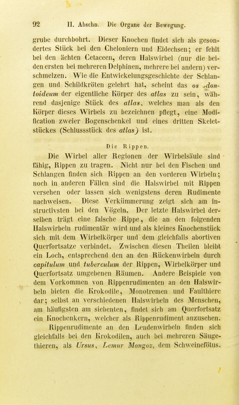 gl'ubc diirclibolirt. Dieser Kiioeheu fliulet sicli als geson- dertes Stück i)ei den Cheloniern und Eidechsen; er fehlt hei den ächten Cetaceen, deren Halswiri)el (nur die bei- den ersten bei mehreren Delphinen, mehrere bei andern) ver- schmelzen. Wie die Entwickelungsgeschichte der Schlan- gen und Schildkröten gelehrt hat, scheint das os ^don- toideum der eigentliche Körper des atlas zu sein, wäh- rend dasjenige Stück des atlas, welches man als den Körper dieses Wirbels zu bezeichnen pflegt, eine Modi- fication zweier Bogenschenkel und eines dritten Skelet- stückes (Schlussstück des atlas) ist. Die Rippen. Die Wirbel aller Regionen der Wirbelsäule sind rähig, Rippen zu tragen. Nicht nur bei den Fischen und Schlangen finden sich Rippen an den vorderen Wirbeln; noch in anderen Fällen sind die Halswirbel mit Rippen versehen oder lassen sich wenigstens deren Rudimente nachweisen. Diese Verkümmerung zeigt sich am in- structivsten bei den Vögeln. Der letzte Halswirbel der- selben trägt eine falsche Rippe, die an den folgenden Halswirbeln rudimentär wird und als kleines Knochenstück sich mit dem Wirlielkörper und dem gleichfalls abortiven Querfortsatze verbindet. Zwischen diesen Theilen bleibt ein Loch, entsprechend den an den Rückenwirbeln durch capitulum und tuberculum der Rippen, Wirbelkörper und Querfortsatz umgebenen Räumen. Andere Beispiele von dem Vorkommen von Rippenrudimenten an den Halswir- beln bieten die Krokodile, Monotremen und Faulthierc dar; selbst an verschiedenen Hals\\'irbeln des 3Ienschen, am häufigsten am siebenten, findet sich am Querfortsatz ein Knoclicnkern, welcher als Rippenriidiment anzusehen. Rippenrudimente an den Lendenwirbeln finden sich gleichfalls bei den Krokodilen, auch bei mehreren Säuge- thieren, als Ursus, Lemur Movgoz, dem Schweinefötus.