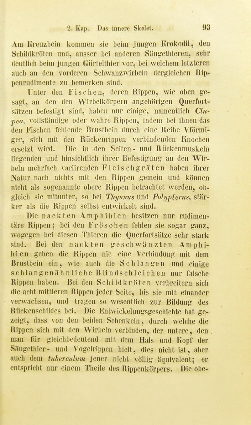 Am Kreuzbein kommen sie l)eim jungen Krokodil, den Schildkröten und, ausser bei anderen Säugetliiercn, sehr dcutliob beim jungen Gürteltliier vor, bei welchem letzteren auch an den vorderen Scbwanzwirbeln dergleichen Rip- penrudimenle zu bemerken sind. Unter den Fischen, deren Rippen, wie oben ge- sagt, an den den Wirbelkörpern angehörigen Querfort- sätzen befestigt sind, haben nur einige, namentlich Clu- pea, vollständige oder wahre Rippen, indem bei ihnen das den Fischen fehlende Brustbein durch eine Reihe Vförmi- ger, sich mit den Rückenrippen verbindenden Knochen ersetzt wird. Die in den Seiten- und Rückenmuskeln liegenden und hinsichtlich ihrer Befestigung an den Wir- beln mehrfach variirenden Fleisch gräten haben ihrer Natur nach nichts mit den Rippen gemein und können nicht als sogenannte obere Rippen betrachtet werden, ob- gleich sie mitunter, so bei TInjnnns und Polypterus, stär- ker als die Rippen selbst entwickelt sind. Die nackten Amphibien besitzen nur rudimen- täre Rippen; bei den Frösehen fehlen sie sogar ganz, wogegen bei diesen Thieren die Querfortsätze sehr stark sind. Bei den nackten geschwänzten Amphi- bien gehen die Rippen nie eine Verbindung mit dem Brustbein ein, wie auch die Schlangen und einige schlangen ähnliche Blindschleichen nur falsche Rippen haben. Bei den Schildkröten verbreitern sich die acht mittleren Rippen jeder Seite, bis sie mit einander verwachsen, nnd tragen so wesentlich zur Bildung des Rückenschildes ])ei. Die Entvvickelungsgeschichte hat ge- zeigt, dass von den beiden Schenkeln, durch welche die Rippen sich mit den Wirbeln verbinden, der untere, den. man für gleichbedeutend mit dem Hals und Kopf der Säugethier- und Vogelrippen hielt, dies nicht ist, aber auch dem tnbercidum jener nicht völlig äquivalent; er entspricht nur einem Theile des Rippenkörpers. Die obe-