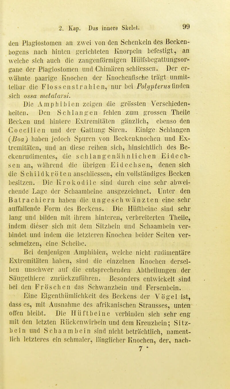 ilcn Plagnostomeii an zwei von den Schenkeln des Becken- l)ogcns nach liinlcn gerichteten Knorpeln hefestigt, an \\ elche sich auch die zangenförmig'en Hülfshegattiingsor- gane der Plagiostoraen und Chimären schliessen. Der cr- \\ähnte paarige Knochen der Knochenfische trägt unmit- telbar die Flo s s en s tr ah 1 e n, nur ])ei Polijpterus finden sich ossa metaiarsi. Die Amphibie n zeigen die grössten Verschieden-» heilen. Den Schlangen fehlen zum grossen Theile Becken und hintere Extremitäten gänzlich, ebenso den Coecilicn und der Gattung Siren. Einige Schlangen (Boa) haben jedoch Spuren von Beckenknochen und Ex- tremitäten, und an diese reihen sich, hinsichtlich des Be- ckenrudimentes, die schlangenähnlichen Eidech- sen an, während die übrigen Eidechsen, denen sich die SchildkrÖ ten anschliessen, ein vollständiges Becken besitzen. Die Krokodile sind durch eine sehr abwei- chende Lage der Schaaml)eine ausgezeichnet. Unter den Batrachiern haben die ungeschwänzten eine sehr auffallende Form des Beckens. Die Hüftbeine sind sehr lang und bilden mit ihrem hinteren, verbreiterten Theile, indem dieser sich mit dem Sitzbein und Schaambcin ver- bindet und indem die letzteren Knochen l)eider Seiten ver- schmelzen, eine Sclieibc. Bei denjenigen Ampliibien, welche nicht rudimentäre Extremitäten haben, sind die einzelnen Knochen dersel- ben unschwer auf die entsprechenden Aljtheilungen der Säugethiere zurückzuführen. Besonders entwickelt sind I)ei den Fröschen das Schwanzbein und Fersenbein. Eine Eigenthümliclikcit des Beckens der Vögel ist, dass es, mit Ausnahme des afrikanischen Strausses, unten offen bleibt. Die Hüftbeine verhinden sich sehr eng mit den letzten Rückenwirbeln und dem Kreuzhein; Sitz- l)cin und Schaambcin sind nicht beträchtlich, nament- lich letzteres ein schmaler, länglicher Knochen, der, nach- 7 