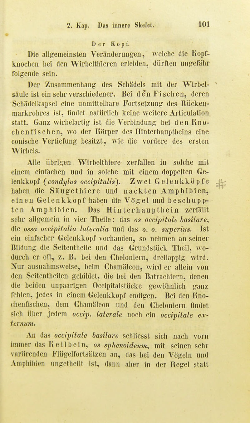 D c r K 0 p f. Die allgemeinsten Veränderungen, welche die Kopf- knochen bei den Wirbeltliicrcn erleiden, dürllen ungePatir folgende sein. Der Zusammenhang des Schädels mit der Wirbel- säule ist ein sehr verschiedener. Bei den Fischen, deren Schädelkapsel eine unmittelbare Fortsetzung des Rücken- markrolires ist, findet natürlich keine weitere Articulation statt. Ganz wirbelartig ist die Verbindung bei den Kno- chenfischen, wo der Körper des Hinterhauptbeins eine conische Vertiefung besitzt, wie die vordere des ersten Wirbels. Alle übrigen Wirbelthiere zerfallen' in solche mit einem einfachen und in solche mit einem doppelten Ge- lenkkopf (condyliis occipitalis). Zwei Gelenkköpfe haben die Säugethiere und nackten Amphibien, einen Gelenkkopf haben die Vögel und beschupp- ten Amphibien. Das Hinterhauptbein zerfällt sehr allgemein in vier Theile: das os occipitale basilare, die ossa occipitalia lateralia und das o. o. superius. Ist ein einfacher Gelenkkopf vorhanden, so nehmen an seiner Bildung die Seitentheile und das Grundstück Theil, wo- durch er oft, z. B. bei den Cheloniern, dreilappig wird. Nur ausnahmsweise, beim Chamäleon, wird er allein von den Seitentheilen gebildet, die bei den Batrachiern, denen die beiden unpaarigen Occipitalslücke gewöhnlich ganz fehlen, jedes in einem Gelenkkopf endigen. Bei den Kno- chenfischen, dem Chamäleon und den Cheloniern findet sich über jedem ocdp. laterale noch ein occipitale ex- ternum. An das occipitale hasilare schliesst sich nach vorn immer das Keil bein, os sphenoideum, mit seinen sehr variirenden Flügelfortsätzen an, das bei den Vögeln und Amphibien ungetheilt ist, dann aber in der Regel statt