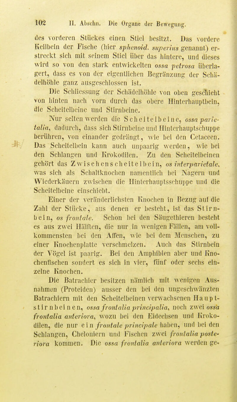 des vorderen Stückes einen Stiel besitzt. Das vordere Keilbein der Fisclie (liier sphenoid. superins genannt) er- streckt sieb mit seinem Stiel über das liintere, und dieses wird so von den stark entwickelten ossa fetrosa überla- gert, dass es von der eigentUcben Begränzimg der Scliä- delböble ganz ausgcscblossen ist. Die Scliliessung der Scliädelbölile von oben gescliiebt von bintcn nach vorn durch das obere Hinterhauptl'ein, die Scheitelbeine und Stirnbeine. Nur selten AA crdcn die S c h e 11 e 1 b e i n e, ossn parie- talia, dadurch, dass sich Stirnbeine und Hinterbauptschuppe berühren, von einander gedrängt, wie bei den Cetaceen. Das Scheitelbein kann auch unpaarig werden, wie bei den Schlangen und Krokodilen. Zu den Scheitelbeinen gehört das Z w i s c h e n s c h e i t e 1 b e i n, os interparietale, was sich als Schaltknochen namentlich bei Nagern und Wiederkäuern zwischen die Hinterhauptsschuppe und die Scheitelbeine einschiebt. Einer der veränderlichsten Knochen in Bezug auf die Zahl der Stücke, aus denen er besteht, ist das Stirn- bein, OS frontale. Schon bei den Säugetbieren besteht es aus zwei Hälften, die nur in wenigen Fällen, am voll- kommensten bei den Affen, wie bei dem Menschen, zu einer Knochenplatte verschmelzen. Auch das Stirnbein der Vögel ist paarig. Bei den Amphibien aber und Kno- chenfischen sondert es sich in vier, fünf oder sechs ein- zelne Knochen. Die Batracliier besitzen nämlich mit wenigen Aus- nahmen (Proteiden) ausser den bei den ungeschwänzten Batrachiern mit den Scheitelbeinen verwachsenen Haupt- stirnbeinen, ossa frontaliaprincipalia, noch zwei ossä frontalia anteriora, wozu bei den Eidechsen und Kroko- dilen, die nur e \ ii froidale principale haben, und bei den Schlangen, Cheloniern und Fischen zwei frontalia poste- riora kommen. Die ossa frontalia anteriora werden ge-