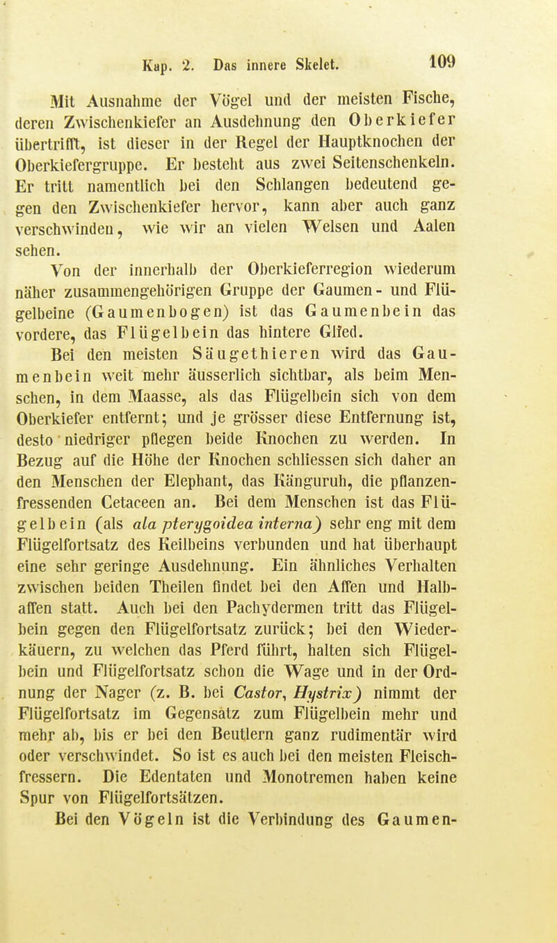 Mit Ausnahme der Vö{?el und der meisten Fische, deren Zwisclienliiefer an Ausdehnung den Oberkiefer übertrifft, ist dieser in der Regel der Hauptlcnochen der Oberkiefergruppe. Er bestellt aus zwei Seitenschenkeln. Er tritt namentlich bei den Schlangen bedeutend ge- gen den Zwischenkiefer hervor, kann aber auch ganz verschwinden, wie wir an vielen Welsen und Aalen sehen. Von der innerhalb der Oberkieferregion wiederum näher zusammengehörigen Gruppe der Gaumen - und Flü- gelbeine (Gaumenhogen) ist das Gaumenbein das vordere, das Flügelb ein das hintere Glied. Bei den meisten Säugethieren wird das Gau- menbein weit mehr äusserlich sichtbar, als beim Men- schen, in dem Maasse, als das Flügelbein sich von dem Oberkiefer entfernt; und je grösser diese Entfernung ist, desto niedriger pflegen beide Knochen zu werden. In Bezug auf die Höhe der Knochen schliessen sich daher an den Menschen der Elephant, das Känguruh, die pflanzen- fressenden Cetaceen an. Bei dem Menschen ist das Flü- gelb ein (als ala pterygoidea interna) sehr eng mit dem Flügelfortsatz des Keilbeins verbunden und hat überhaupt eine sehr geringe Ausdehnung. Ein ähnliches Verhalten zwischen beiden Theilen findet bei den Affen und Halb- affen statt. Auch bei den Pachyderraen tritt das Flügel- bein gegen den Flügelfortsatz zurück; bei den Wieder- käuern, zu welchen das Pferd führt, halten sich Flügel- bein und Flügelfortsatz schon die Wage und in der Ord- nung der Nager (z. B. bei Castor, Hystrix) nimmt der Flügelfortsatz im Gegensatz zum Flügelbein mehr und mehr ab, bis er bei den Beutlern ganz rudimentär wird oder versciiwindet. So ist es auch bei den meisten Fleisch- fressern. Die Edentaten und Monotremen haben keine Spur von Flügelfortsätzen. Bei den Vögeln ist die Verbindung des Gaumen-